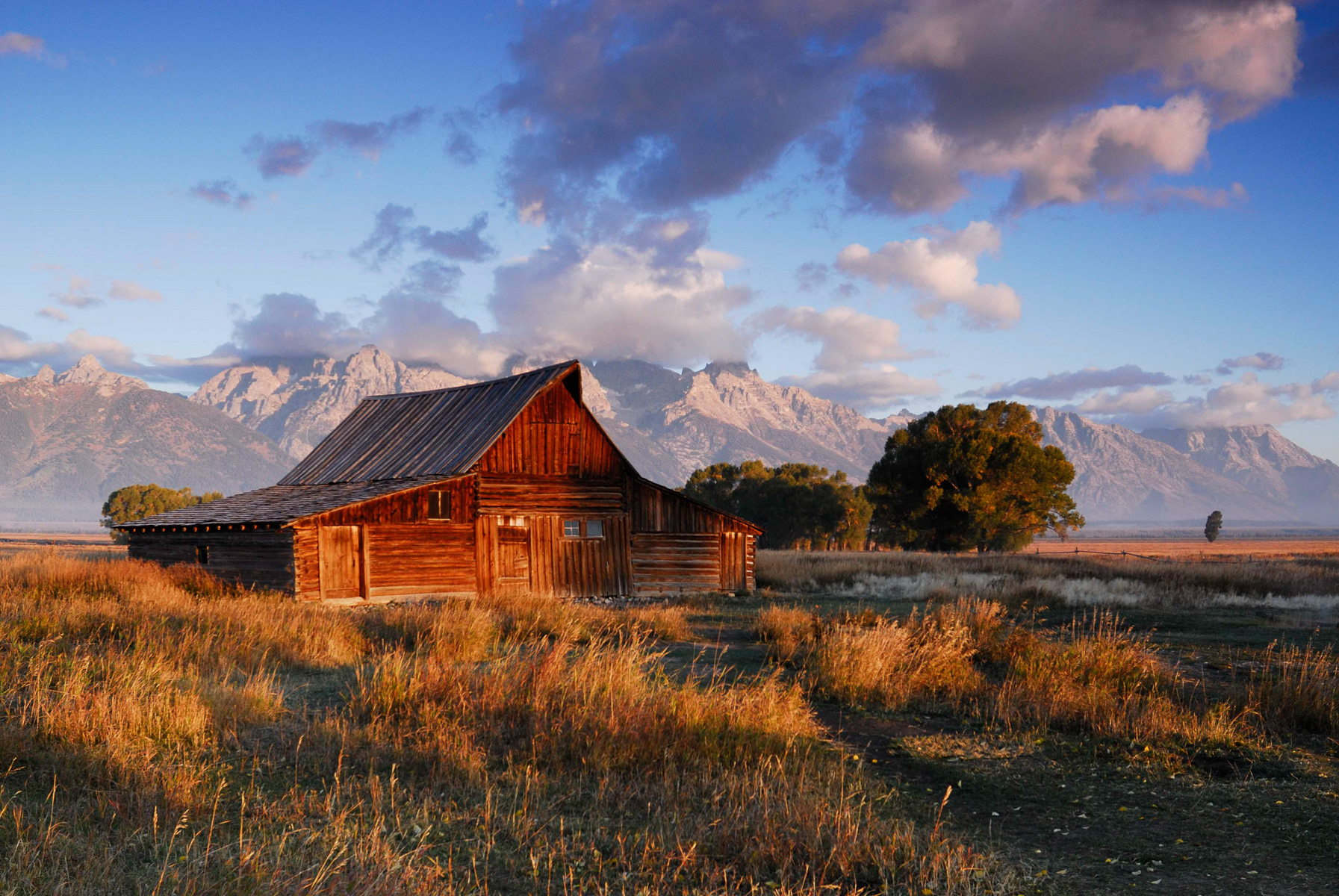 T.A. Moulton Barn, Moose