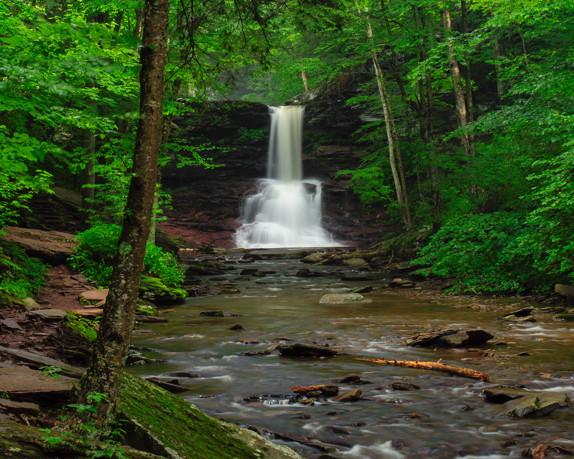 Sheldon Reynolds Falls, Ricketts Glen State Park