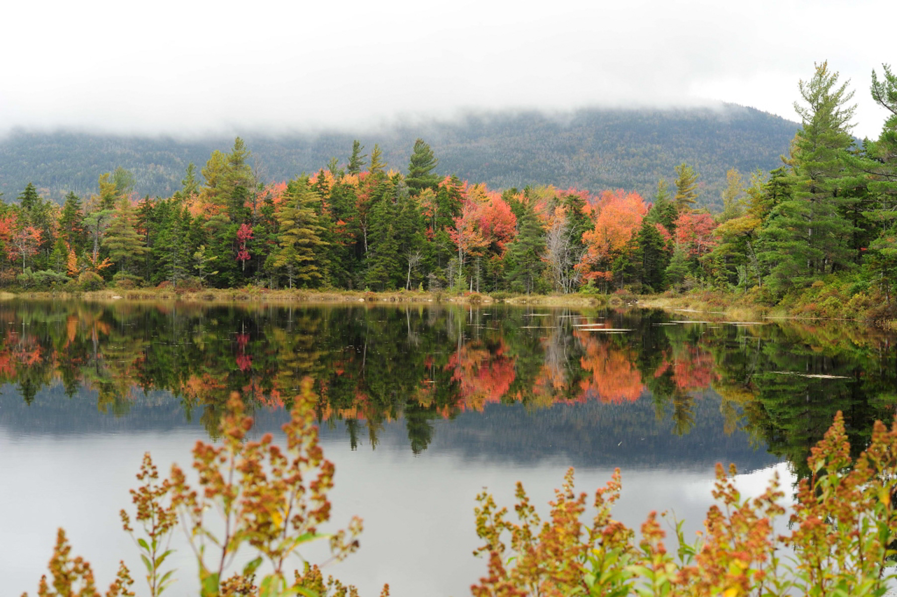 Lilly Pond, Kancamagus Hwy Bartlett