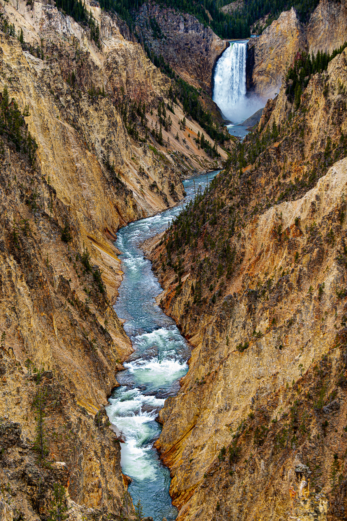 Lower Falls, Yellowstone National Park