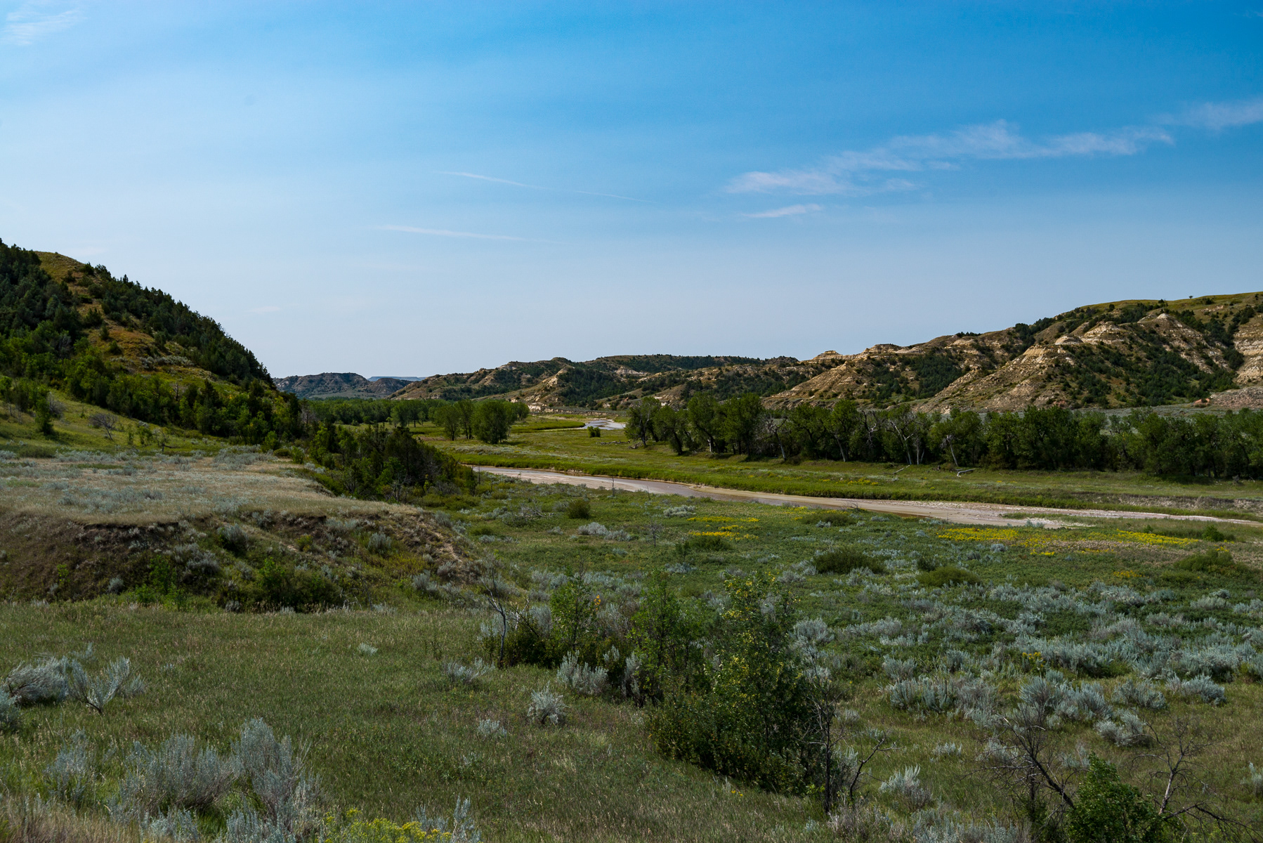 Teddy Roosevelt National Park