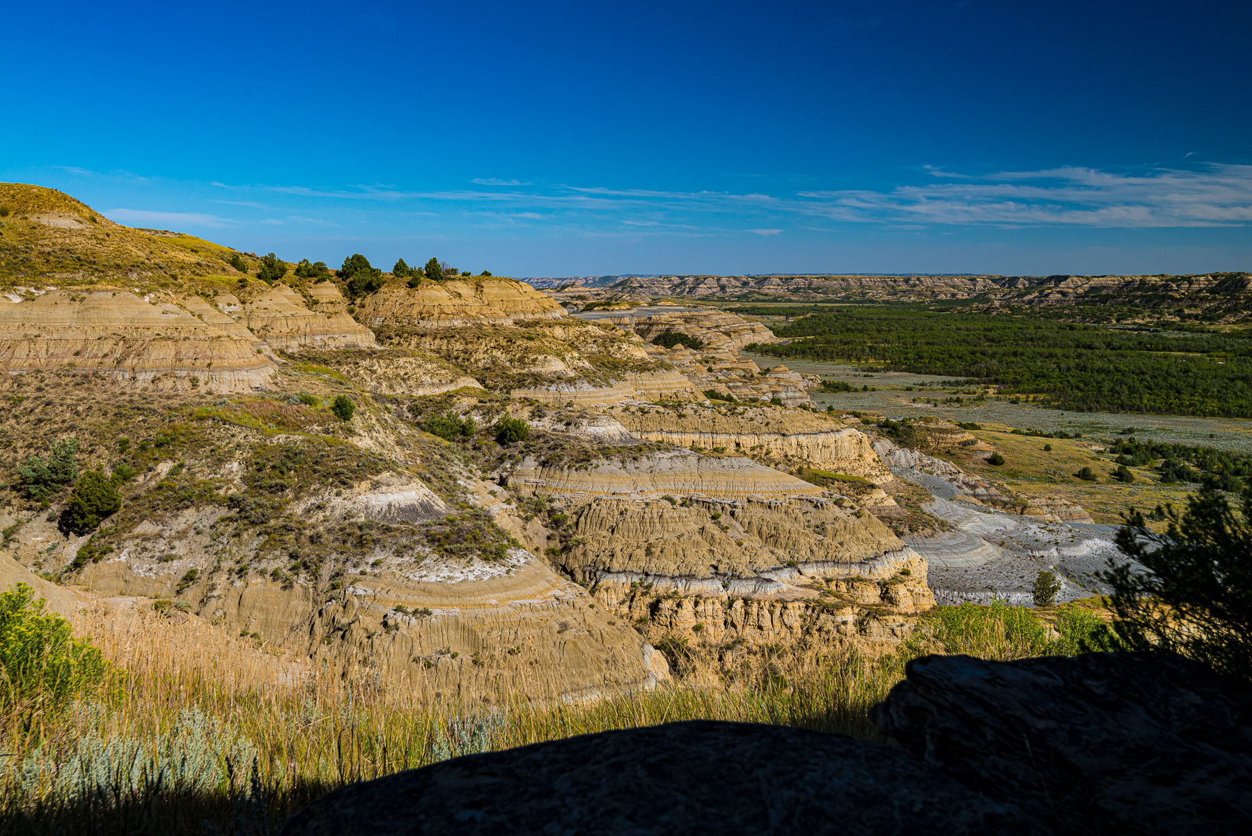 Teddy Roosevelt National Park