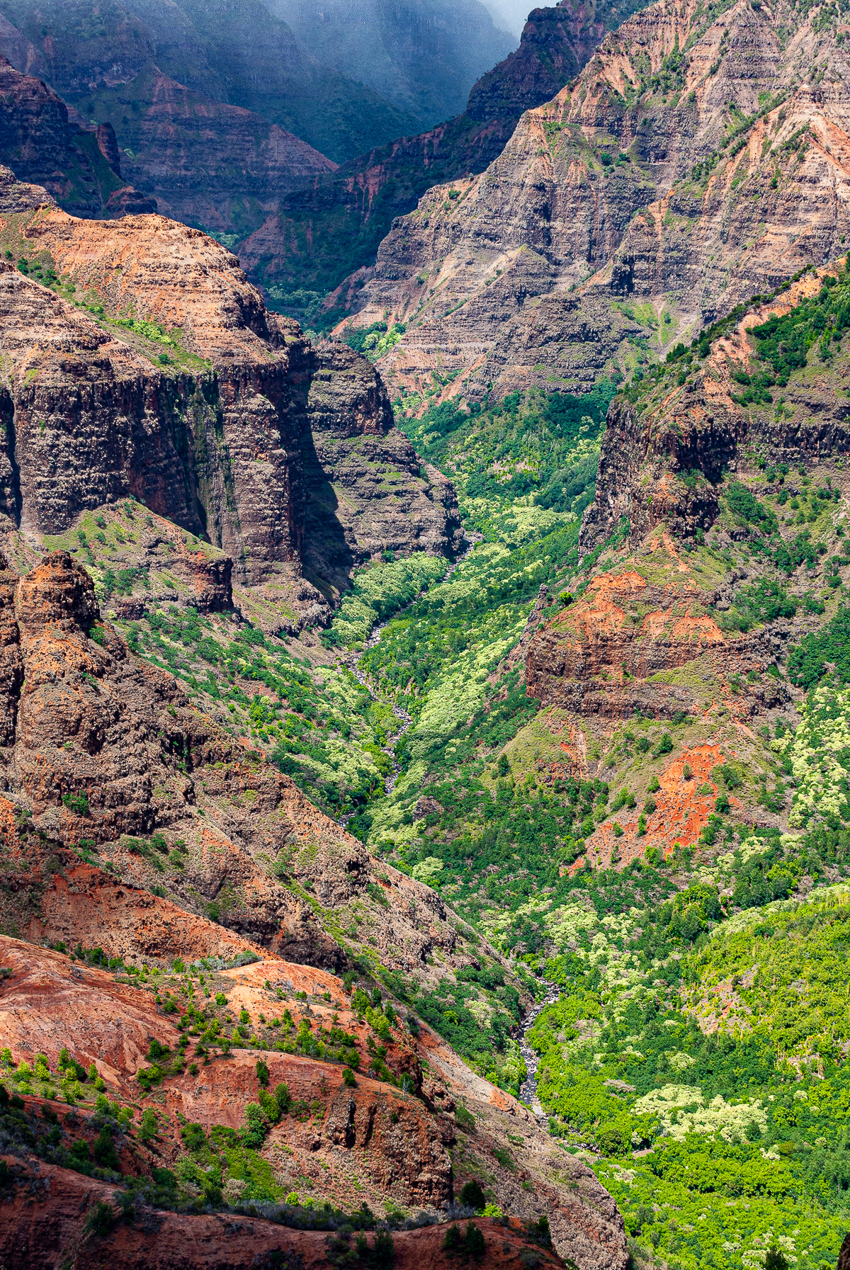 Waimea Canyon State Park, Kauai