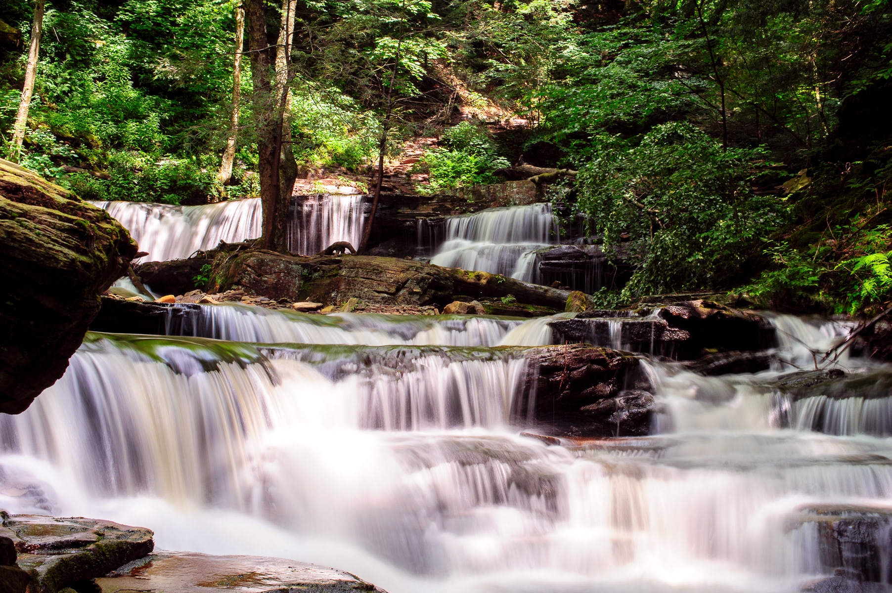 Seneca Falls, Ricketts Glen State Park