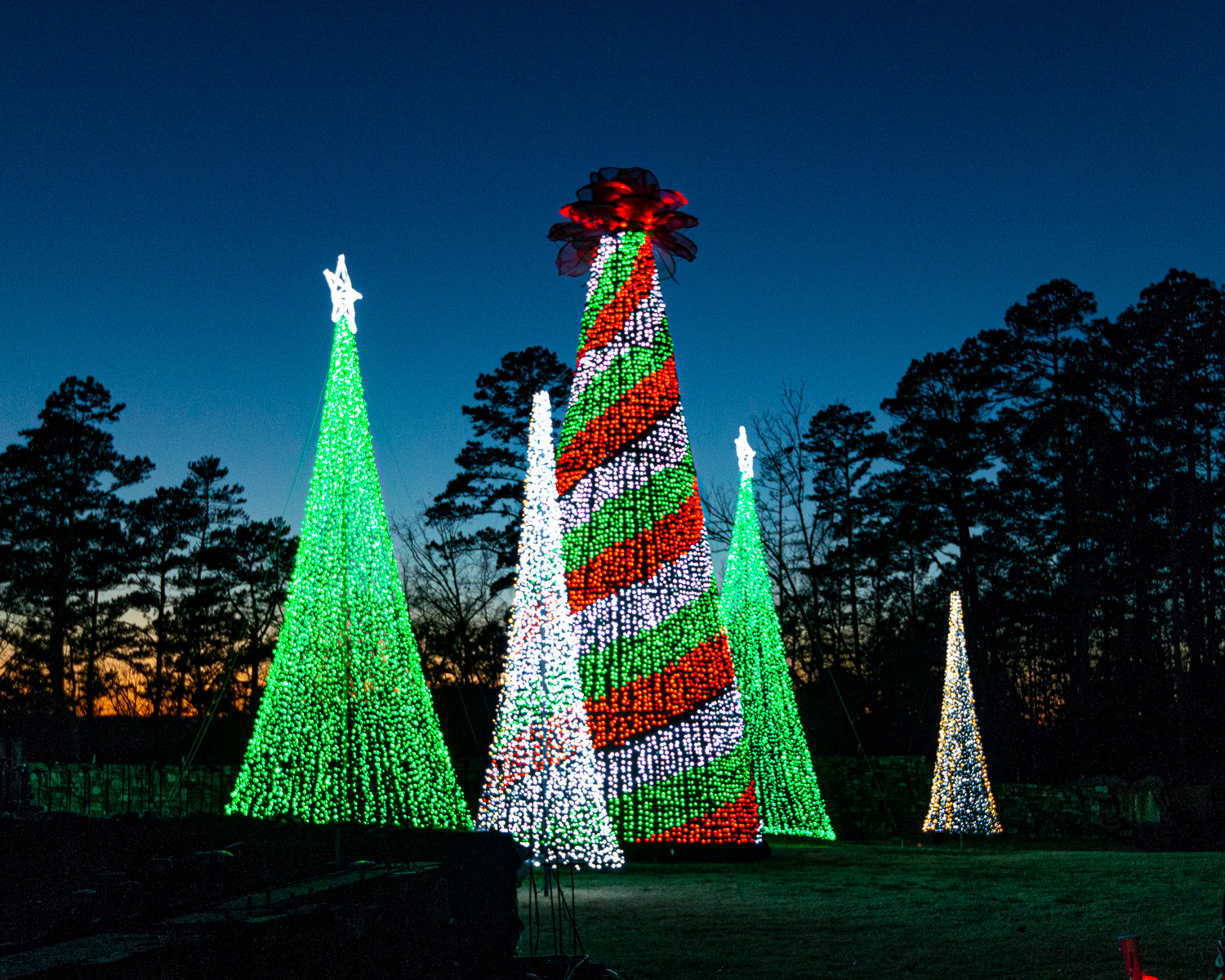 Christmas Lights, Garvan Gardens Hot Springs