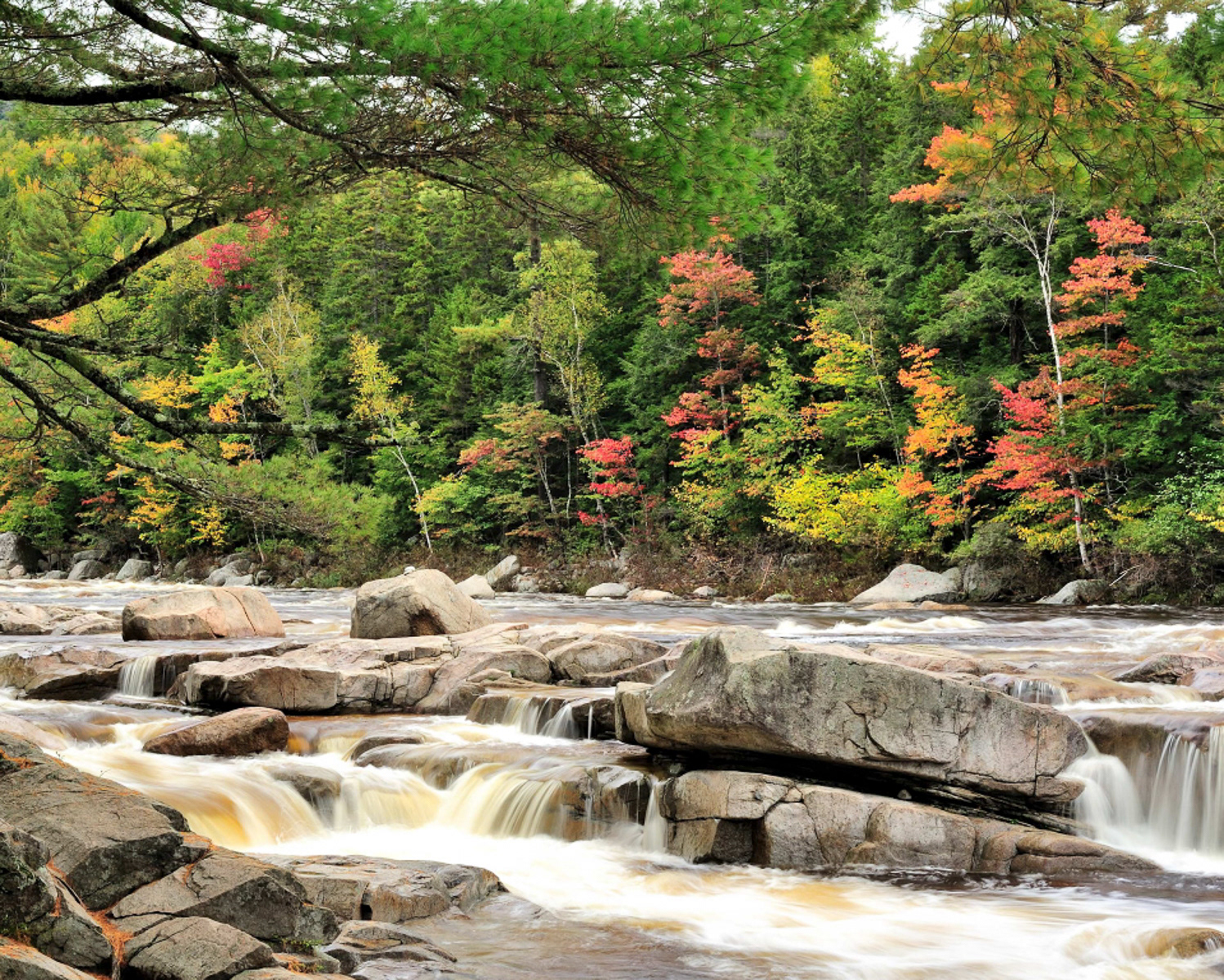 Lower Falls, Kancamagus Hwy Albany