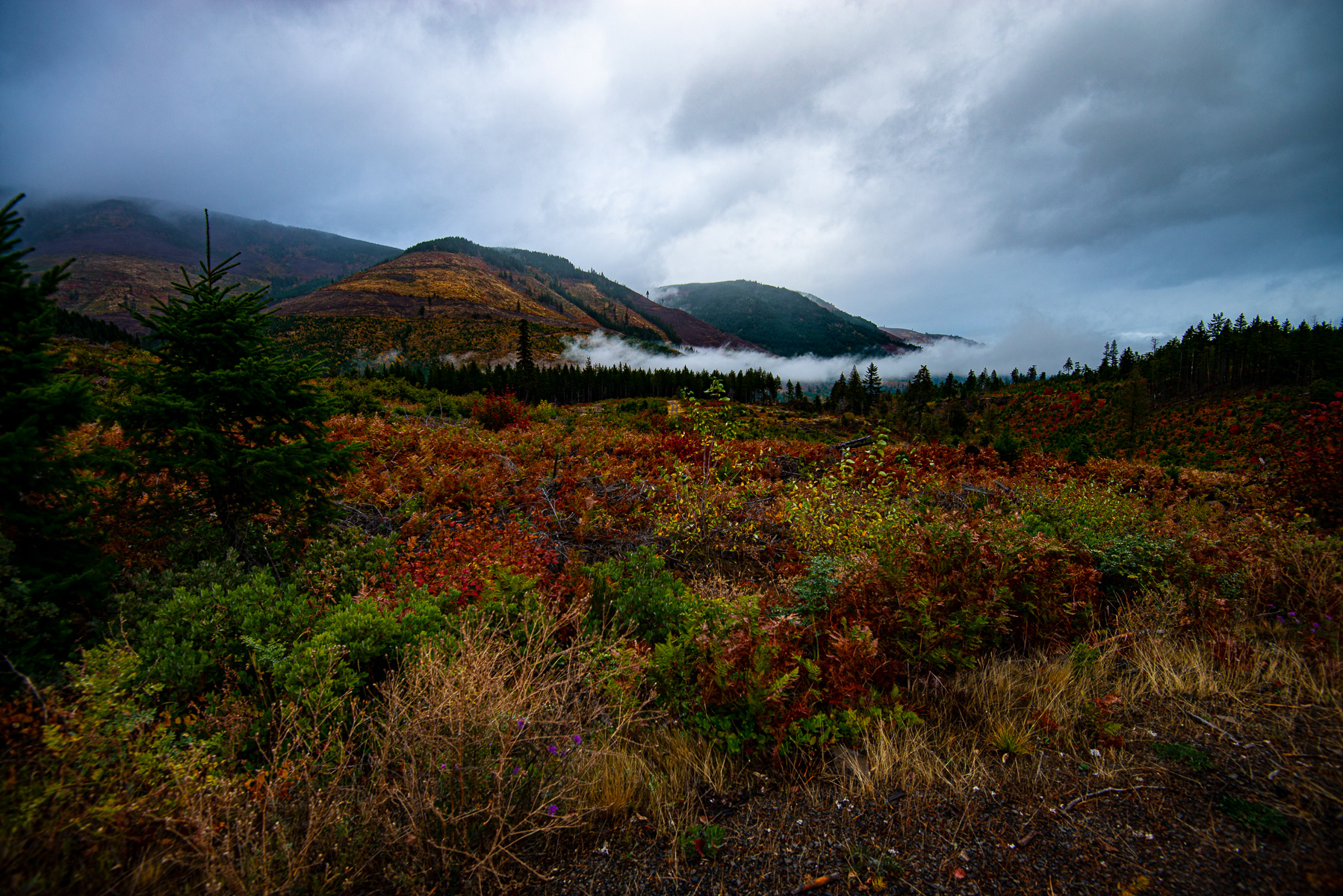 Columbia River Valley, Hood River
