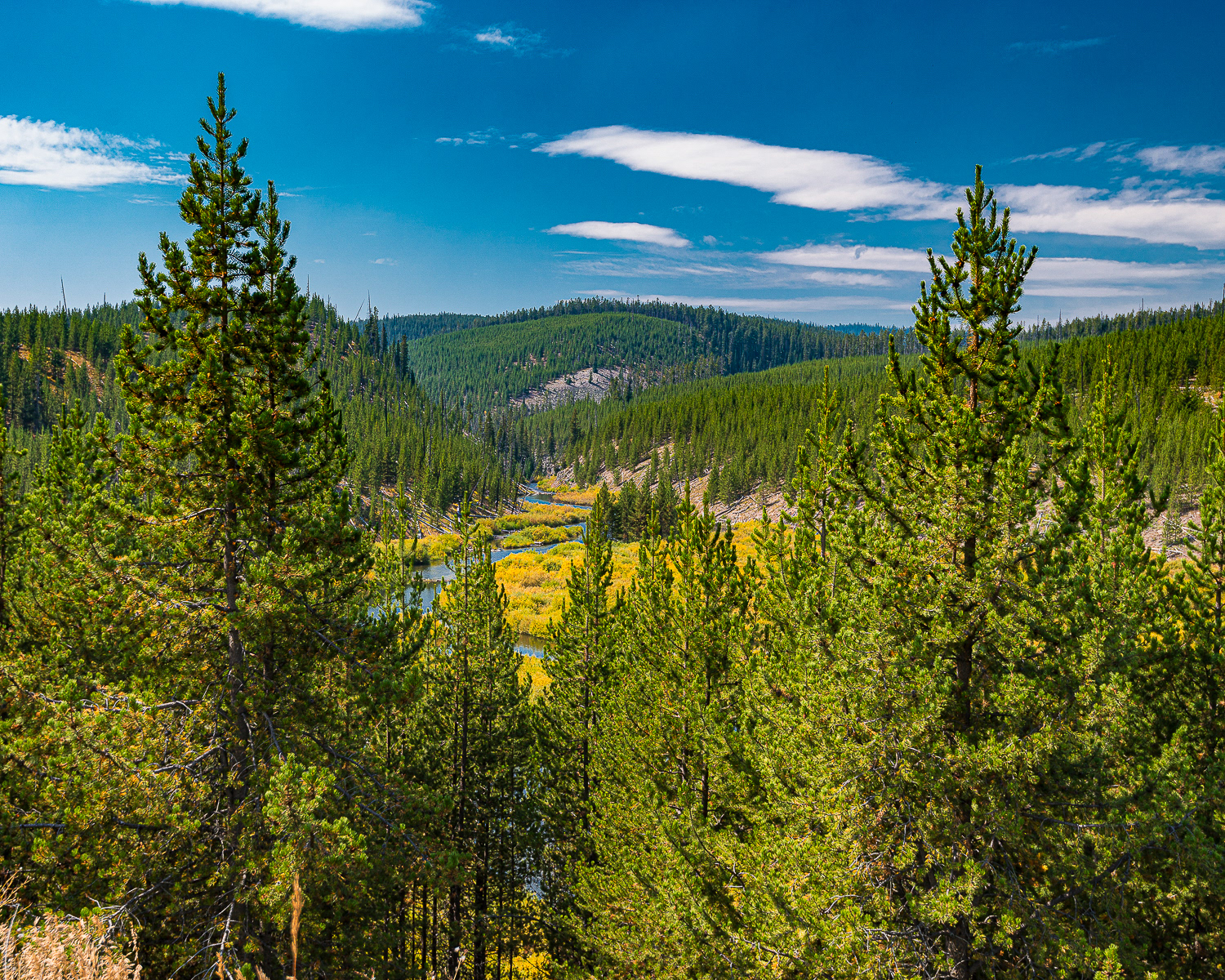 Yellowstone National Park