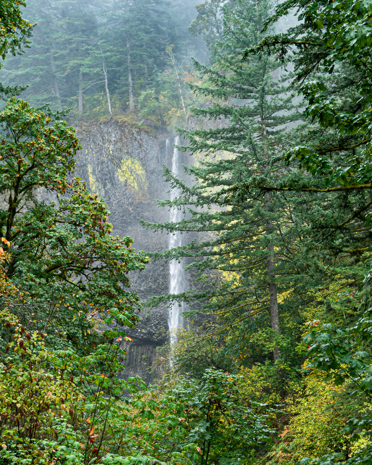 Columbia River Valley, Hood River