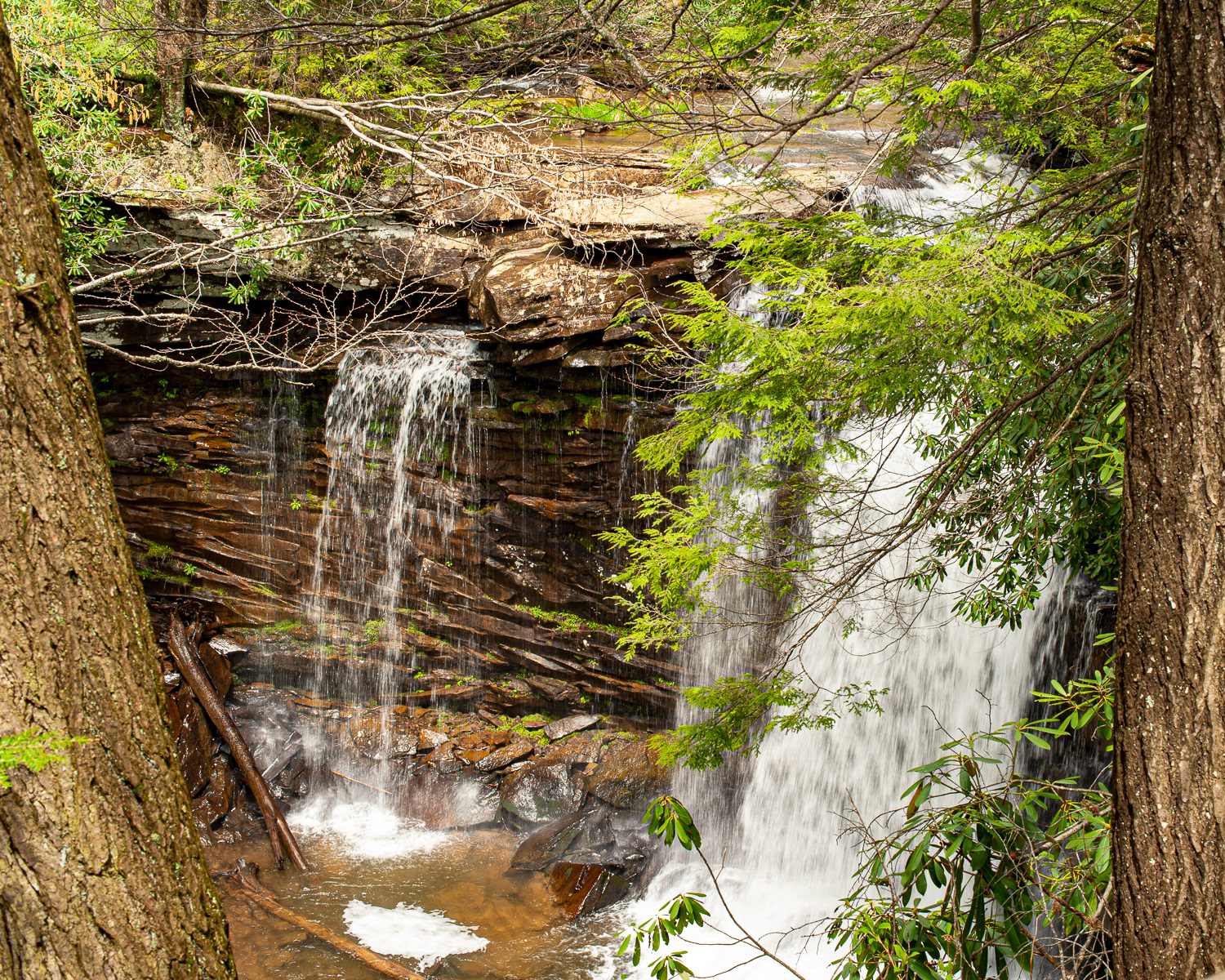 Falls of the Hills Creek, Hillsboro