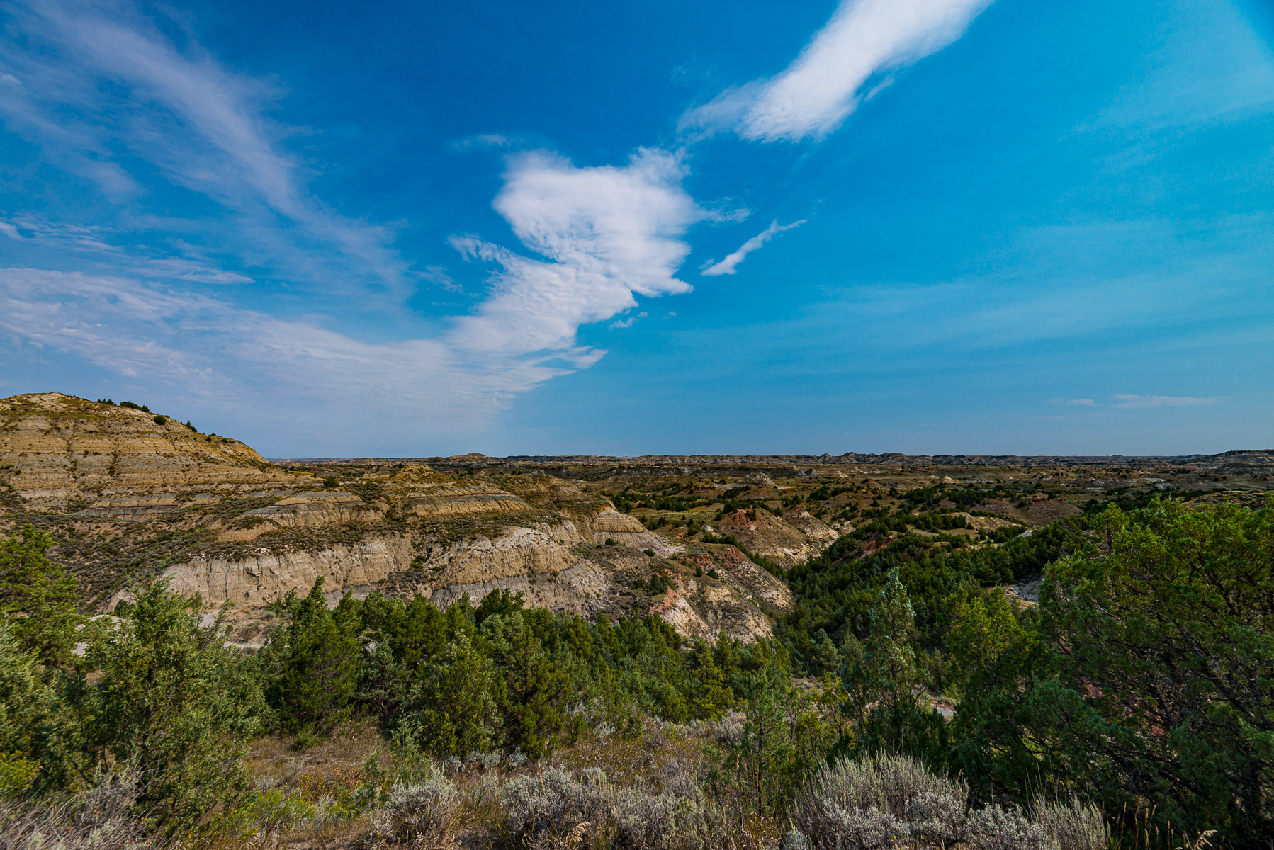 Teddy Roosevelt National Park