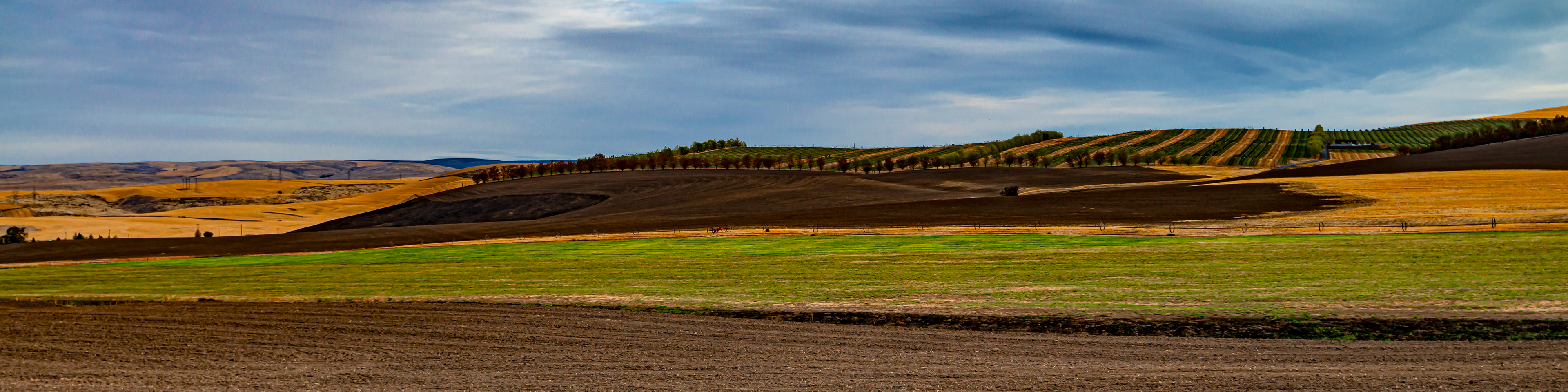 Columbia River Valley, Hood River