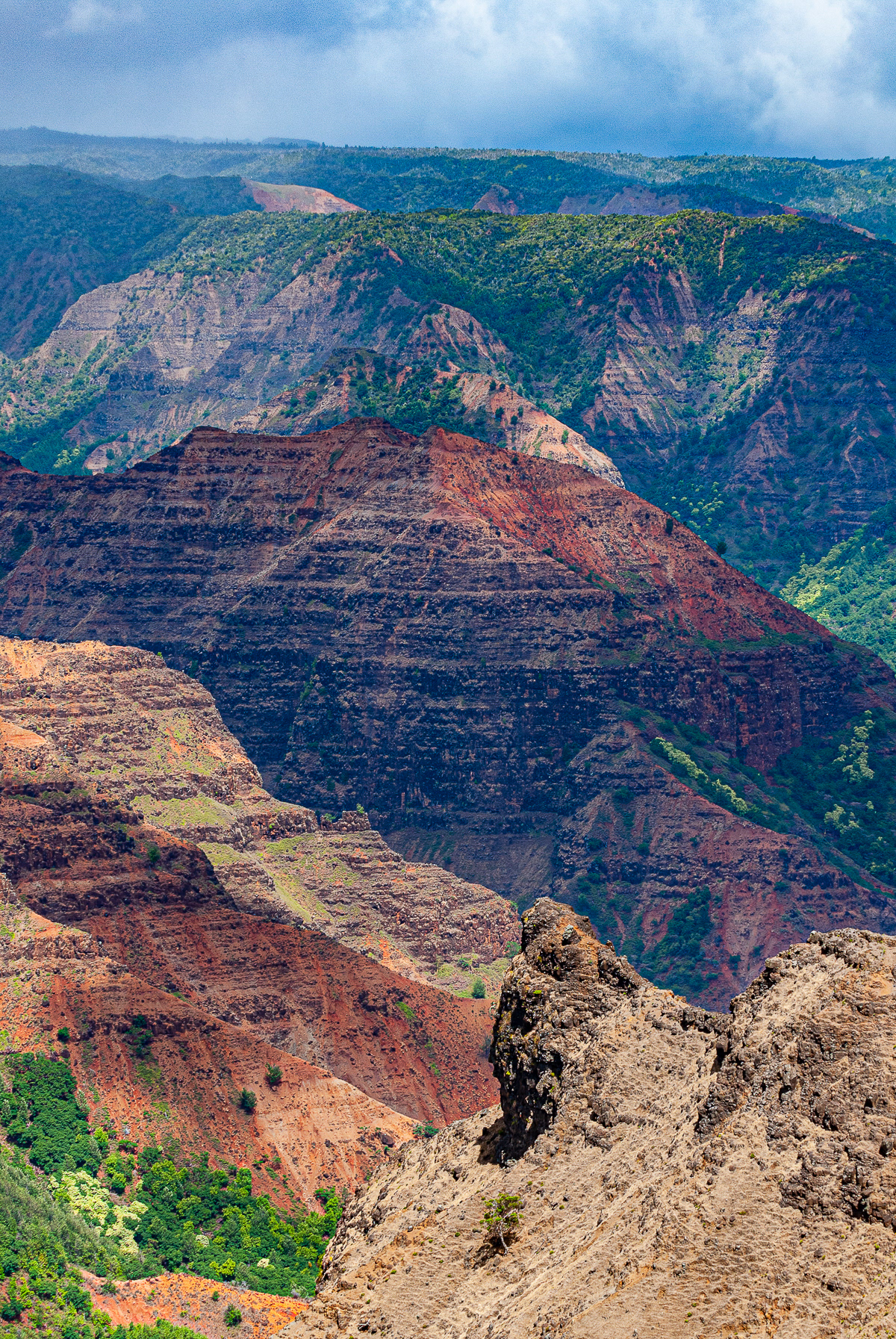 Waimea Canyon State Park, Kauai