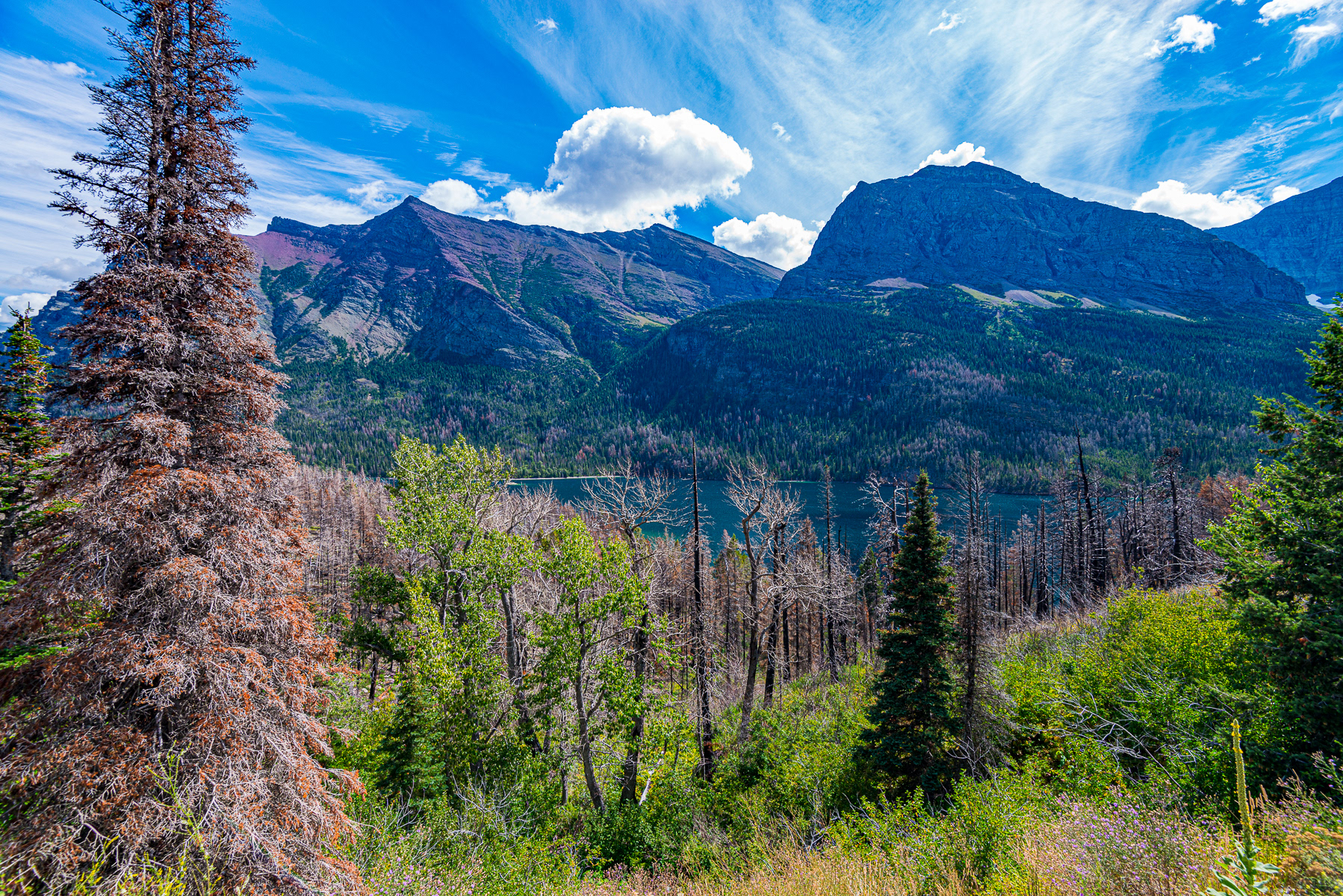 Glacier National Park