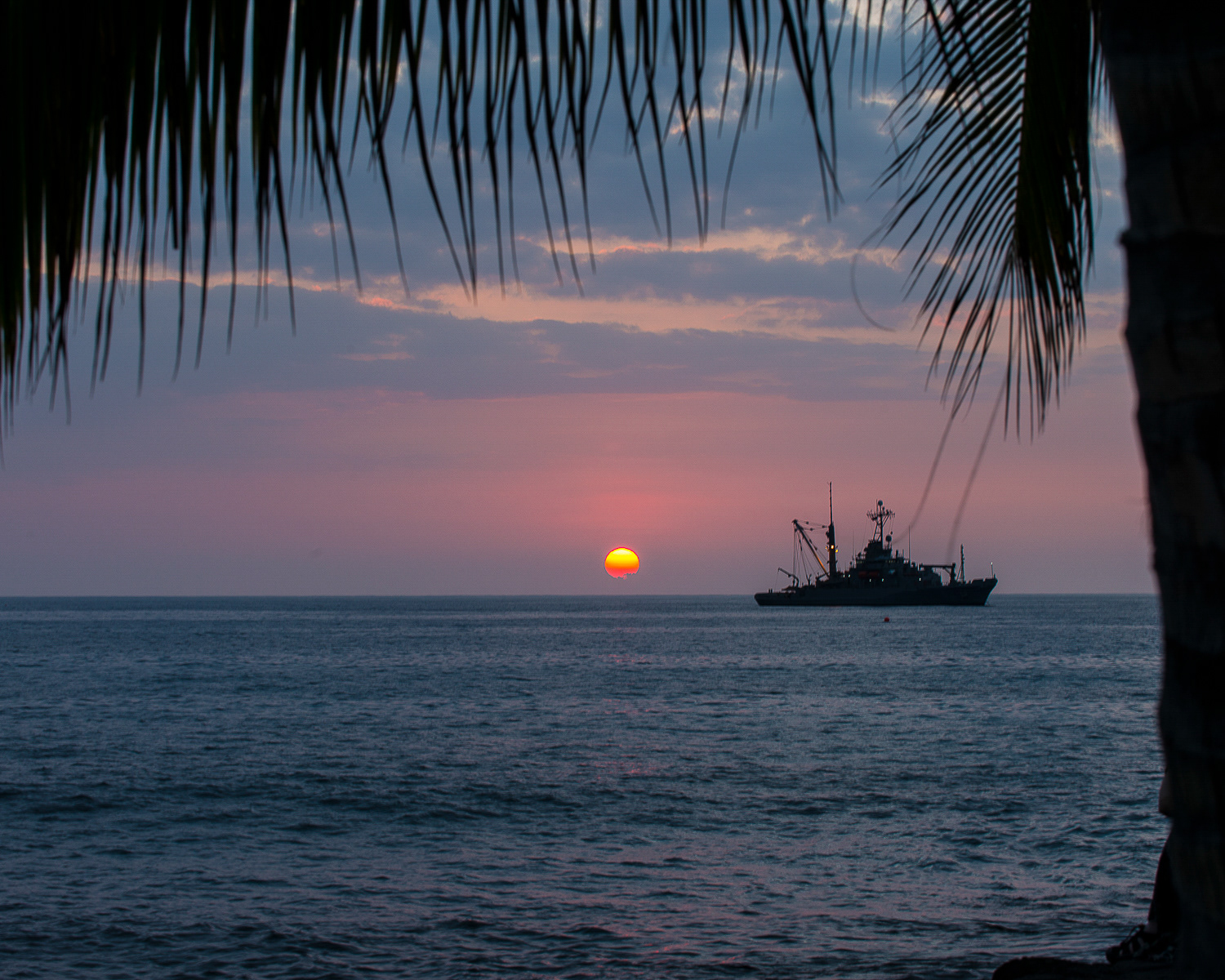 On Patrol, Big Island