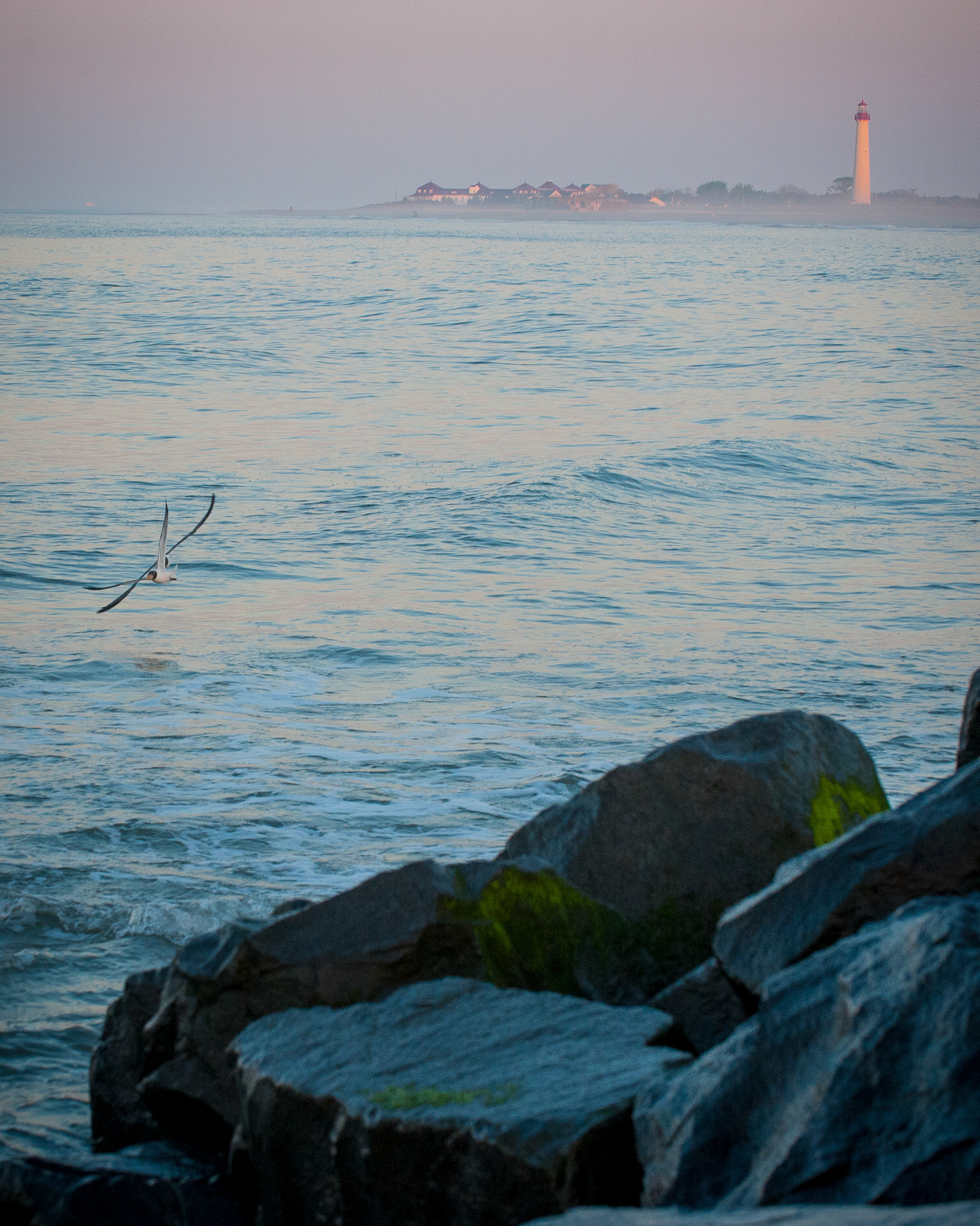 Cape May Lighthouse, Cape May