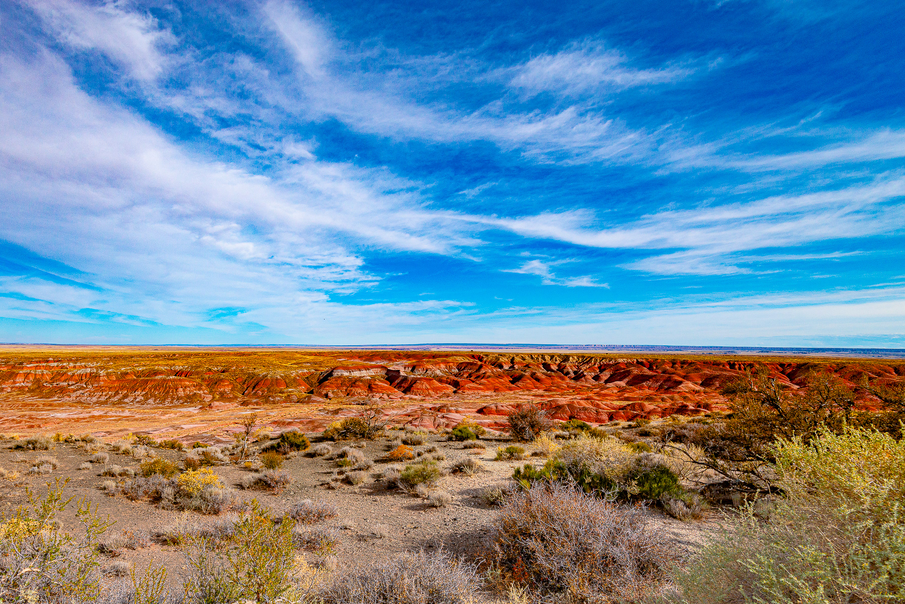 Painted Desert