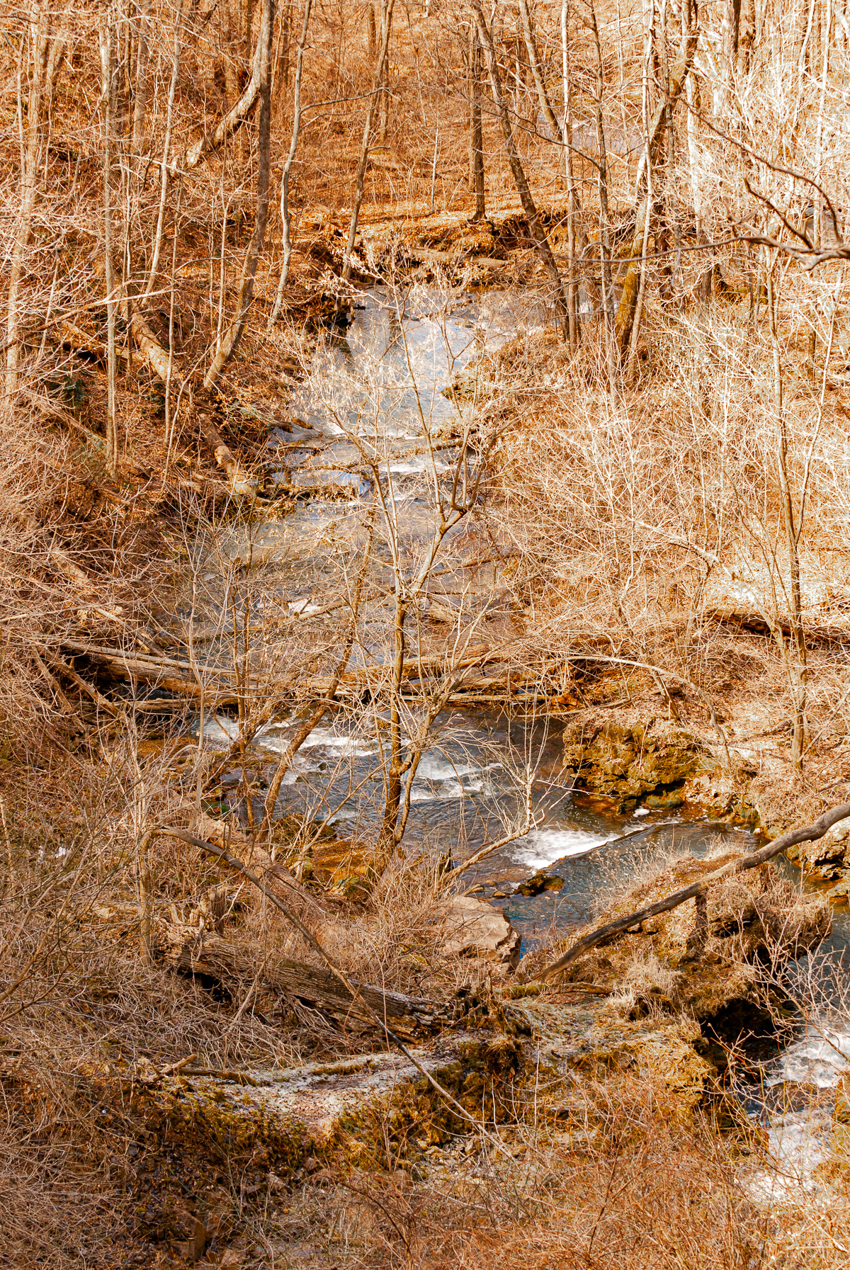 Falling Spring Creek, Covington