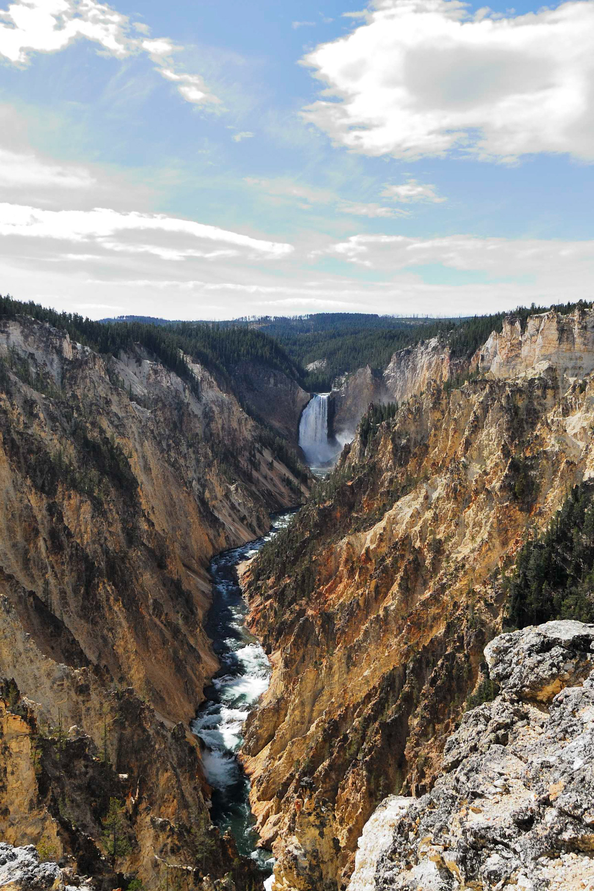 Lower Falls, Yellowstone National Park
