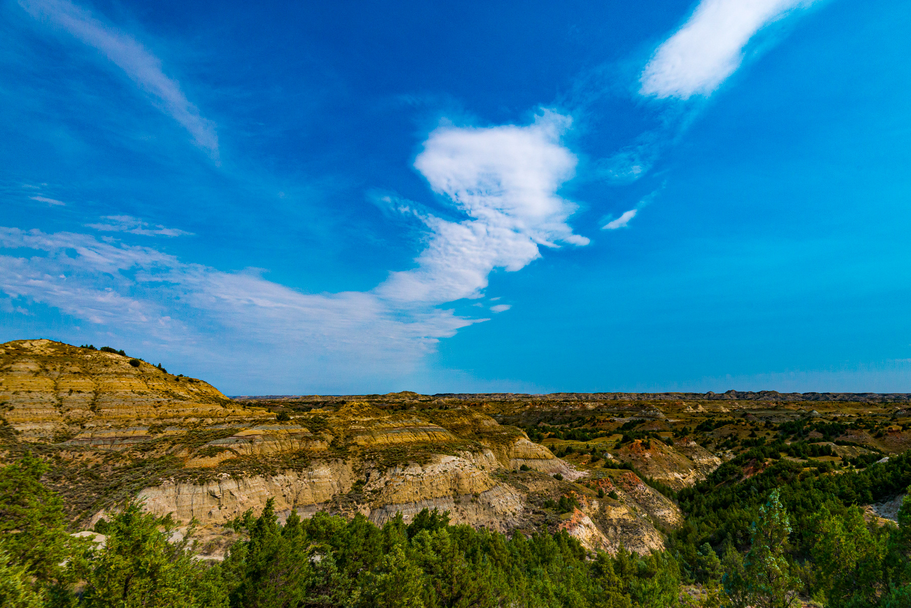 Teddy Roosevelt National Park