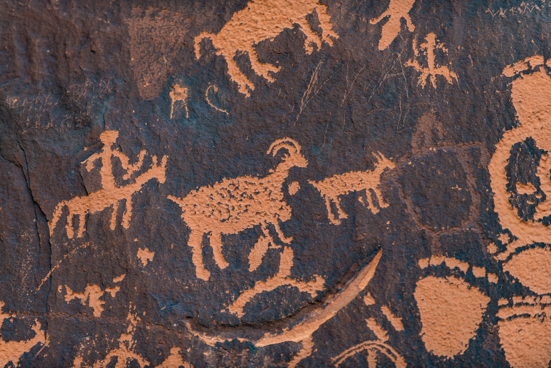 Newspaper Rock State Historical Monument, Monticello