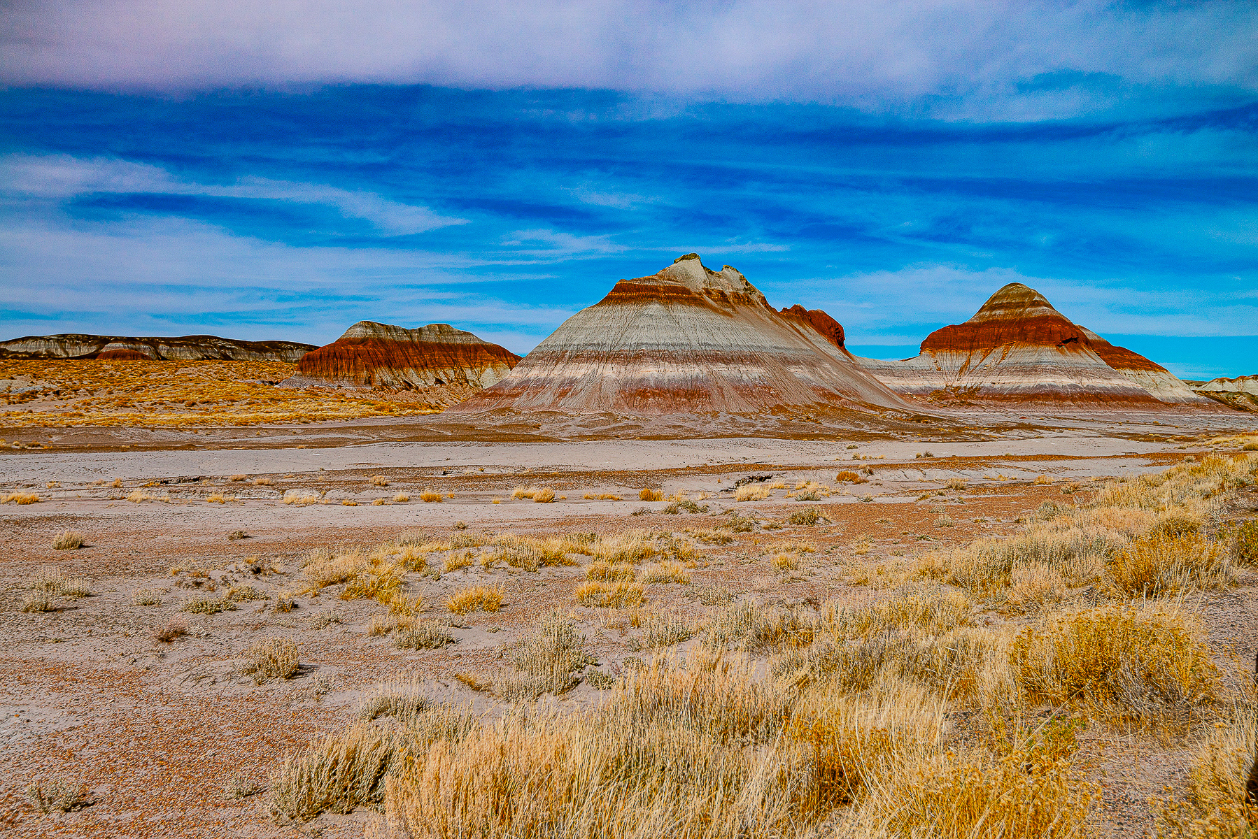 Painted Desert