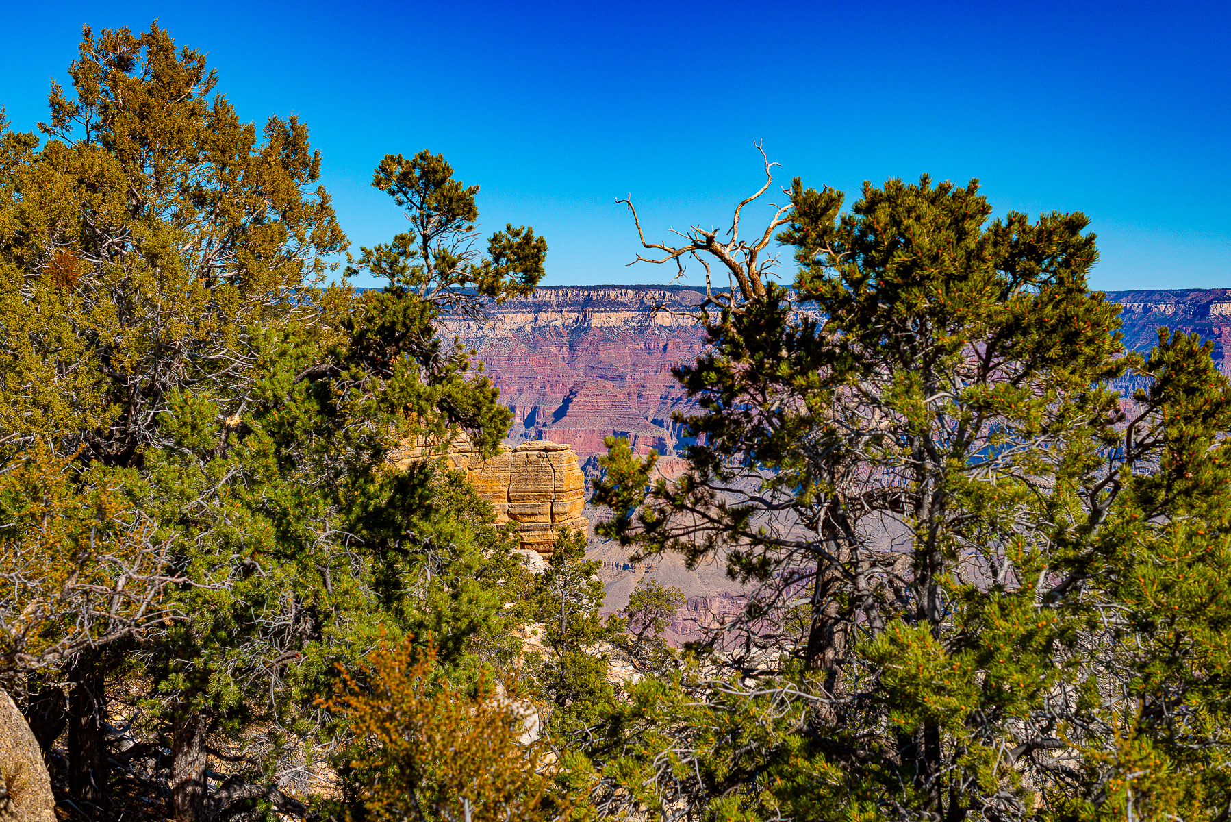 Grand Canyon National Park