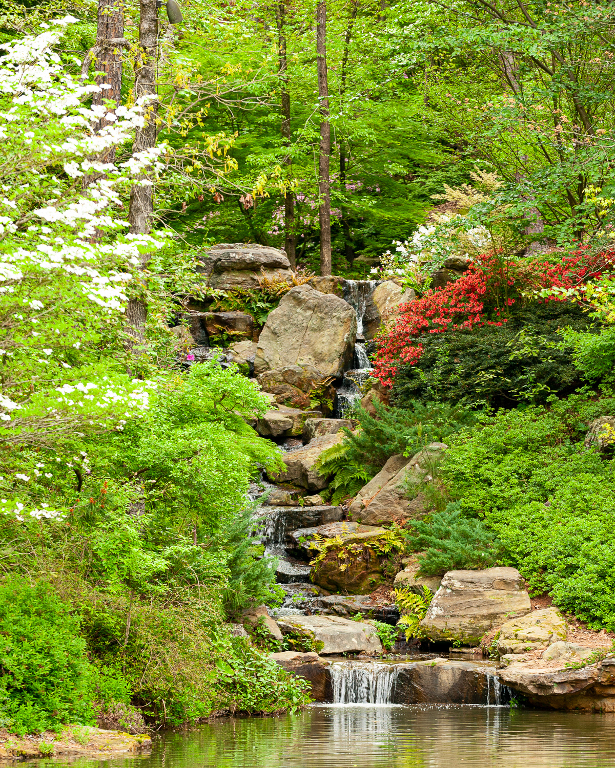 Garvan Gardens, Hot Springs