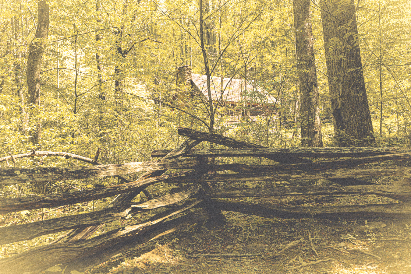 Cades Cove Loop Road (color modified)