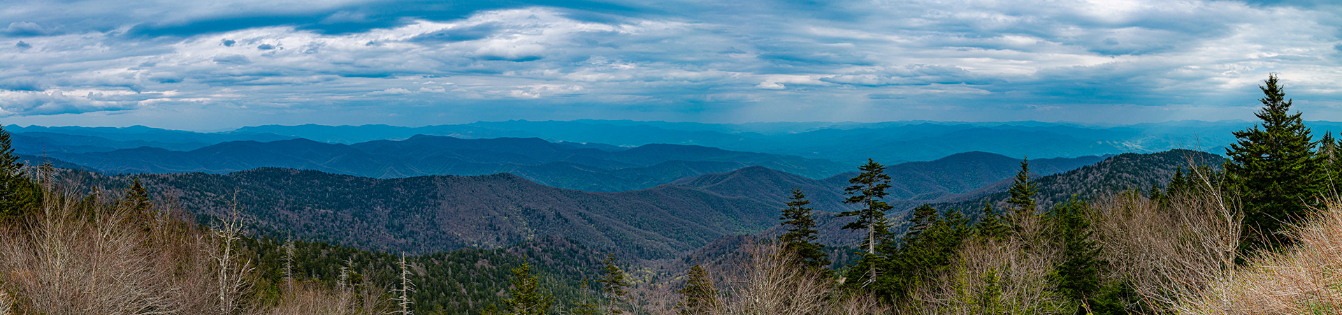 Vista from Clingmans Dome Parking Area, Smoky Mountain National Park