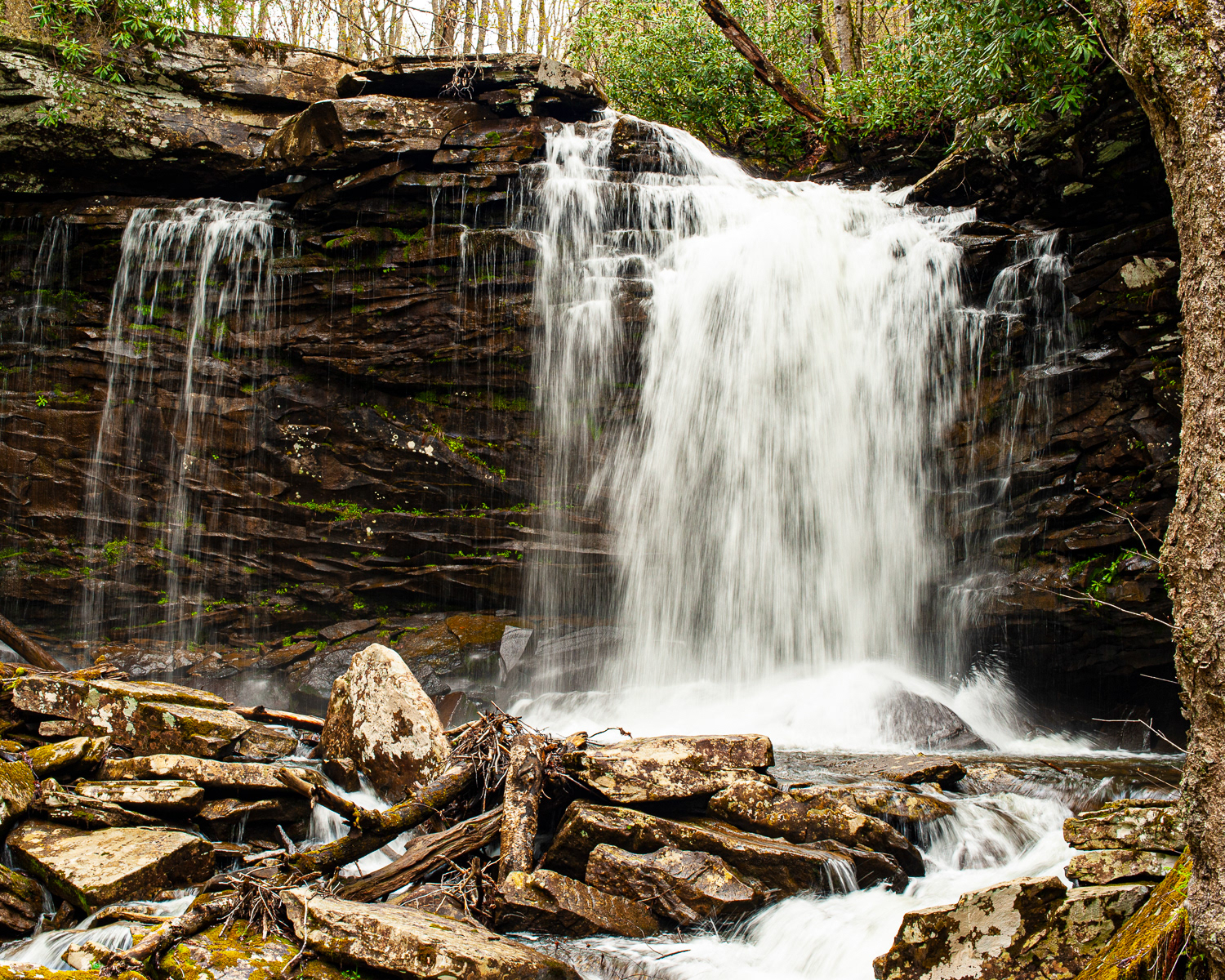 Falls of the Hills Creek, Hillsboro