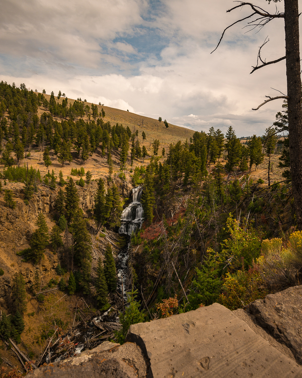 Yellowstone National Park