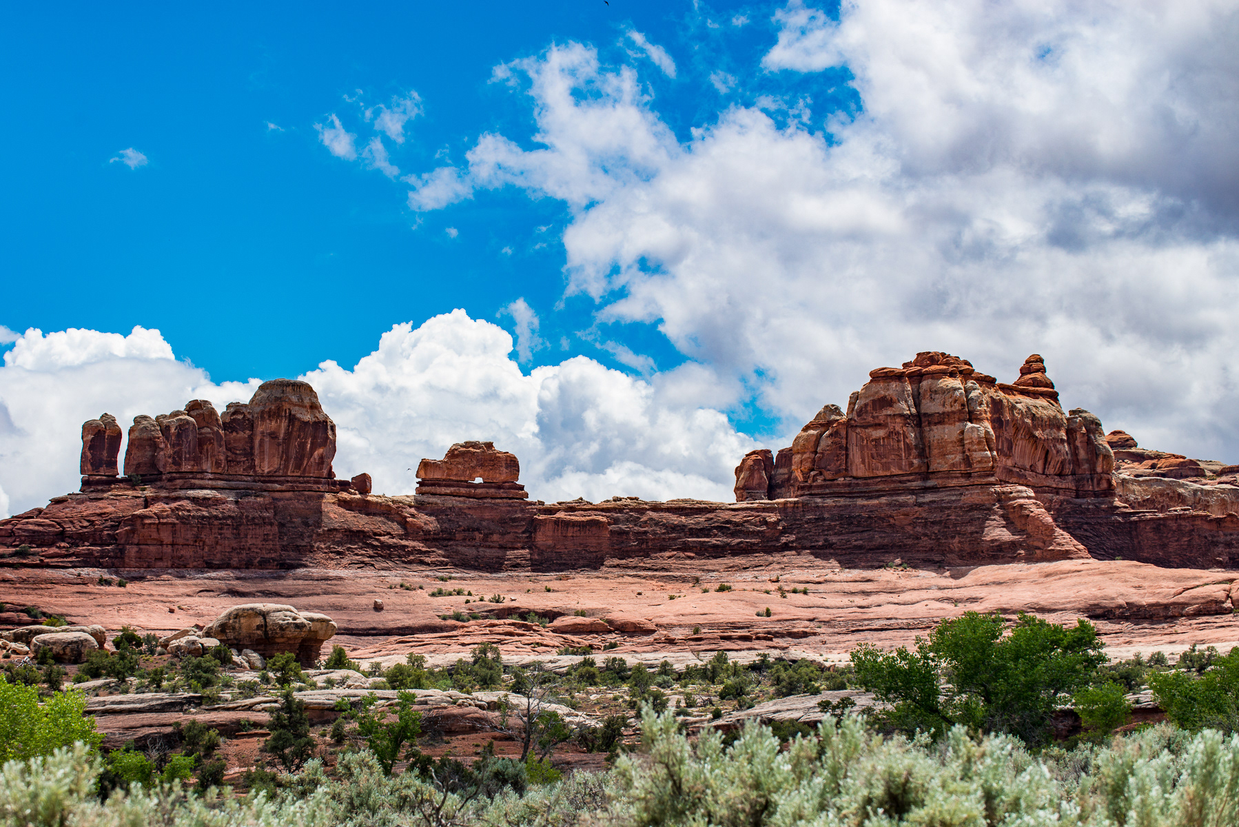 Wooden Shoe, Arches National Park  Moab