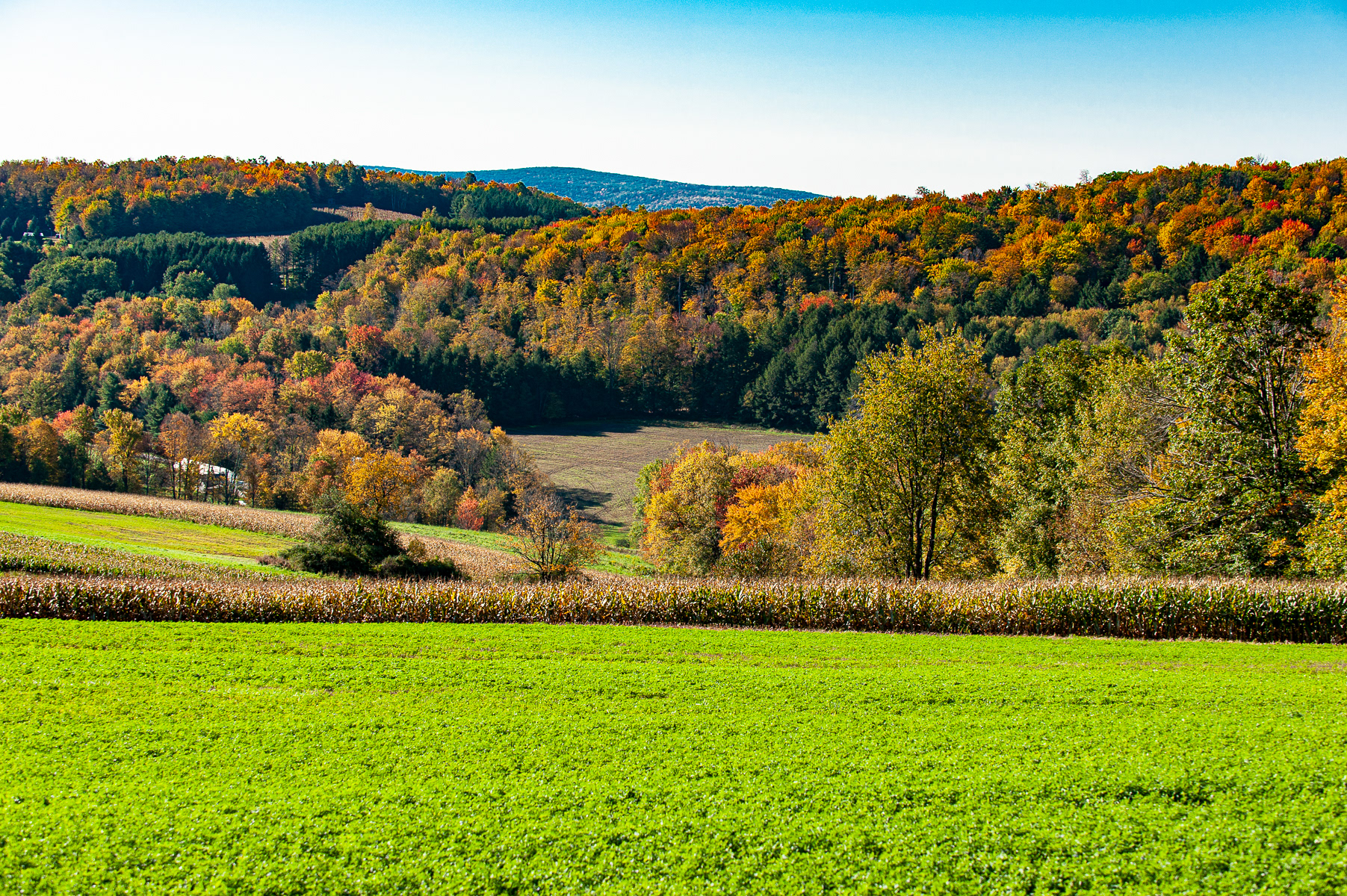 North Central Pennsylvania