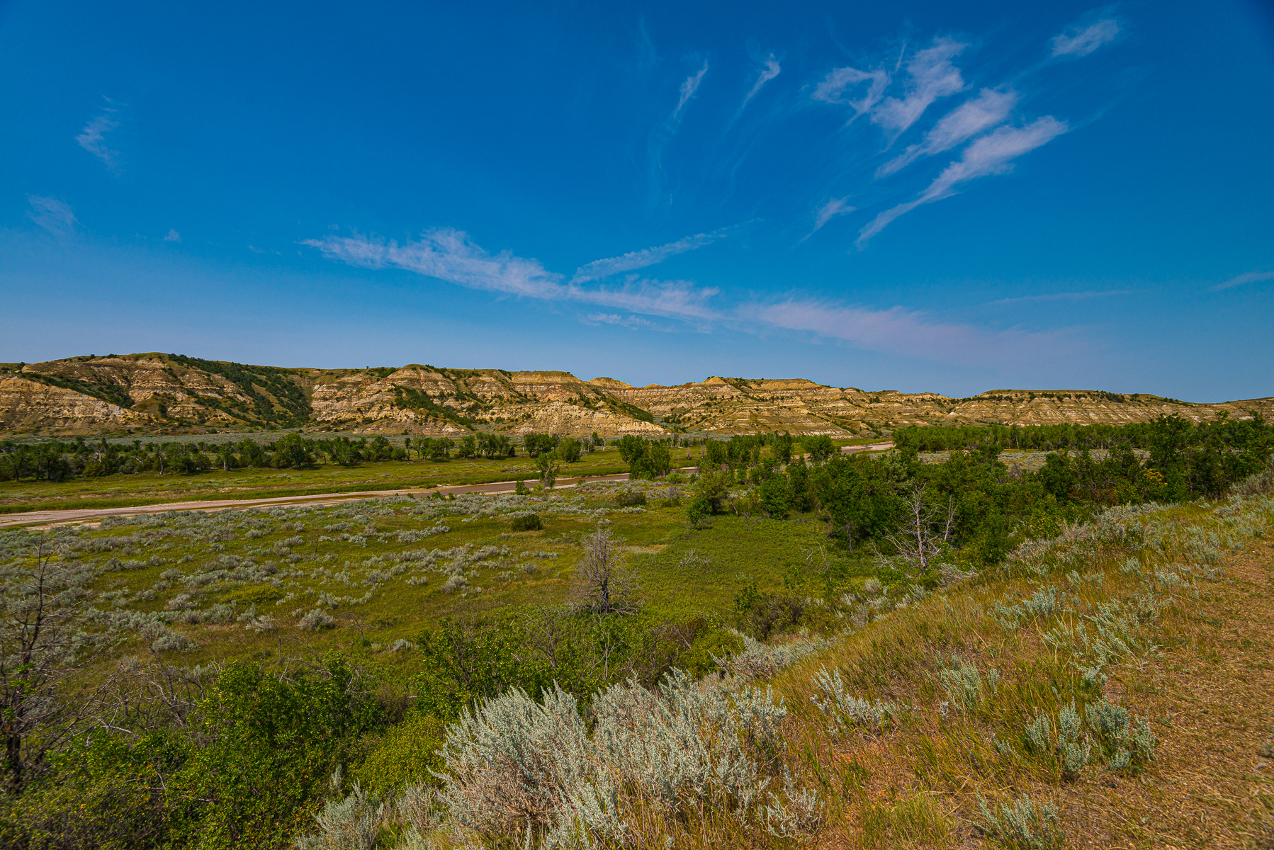 Teddy Roosevelt National Park