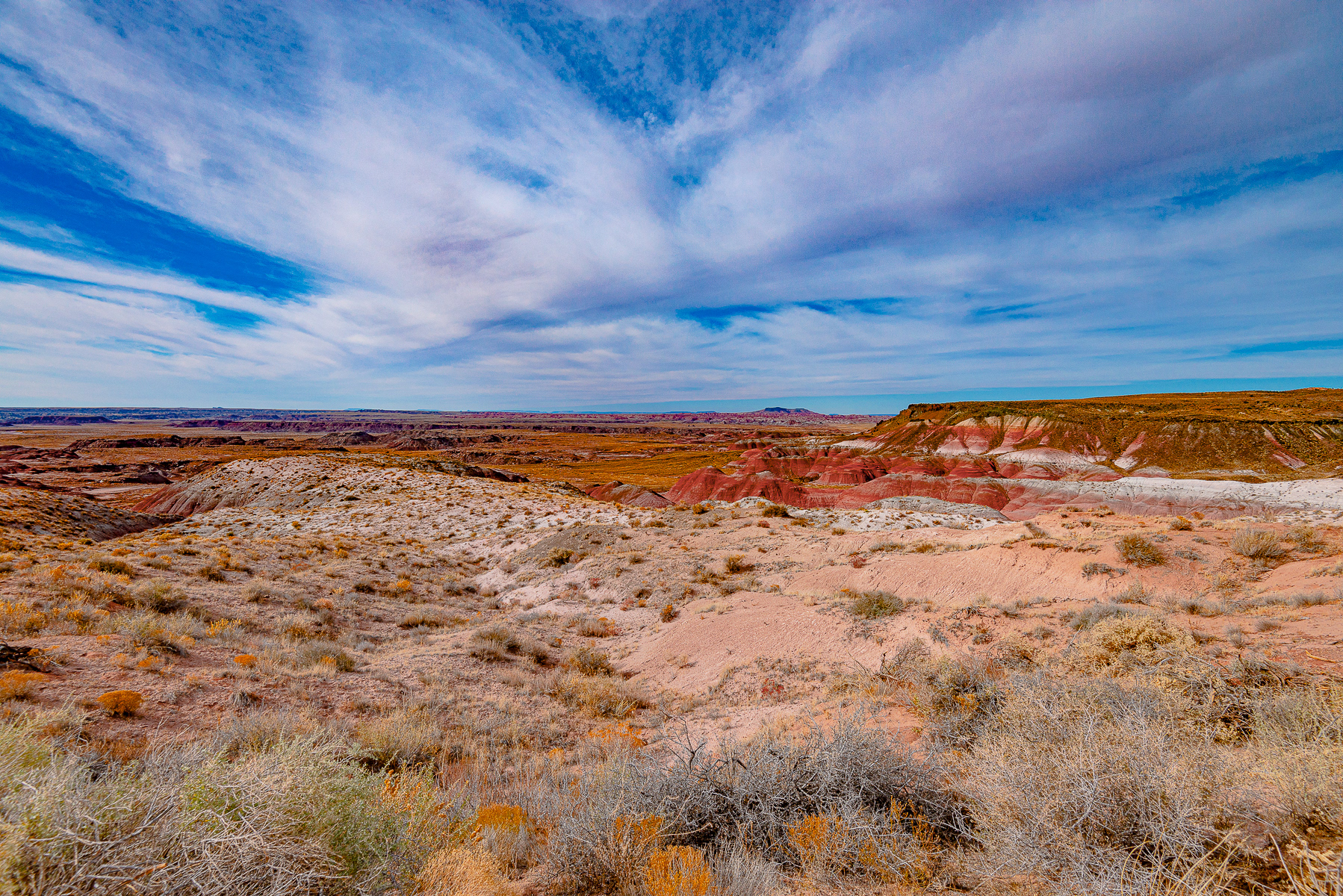 Painted Desert