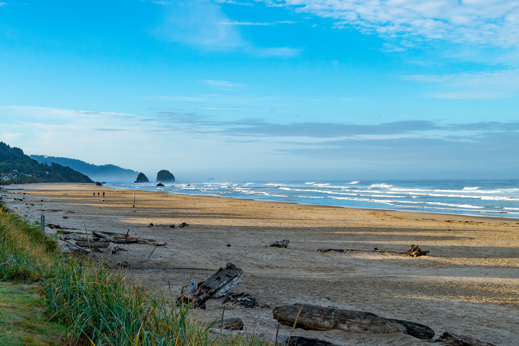 Cannon Beach from Ecola State Park