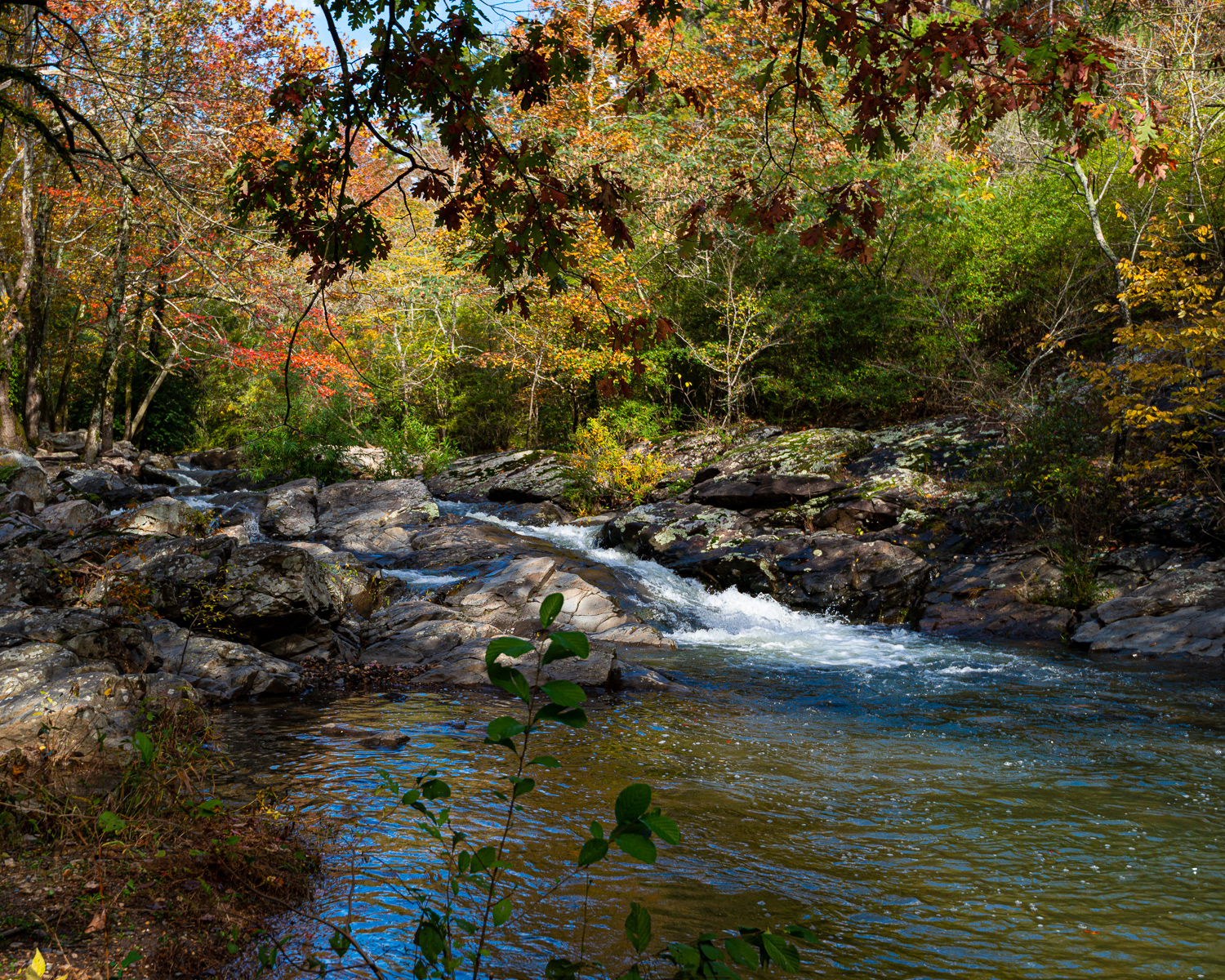 Gulpha Creek, Hot Springs 