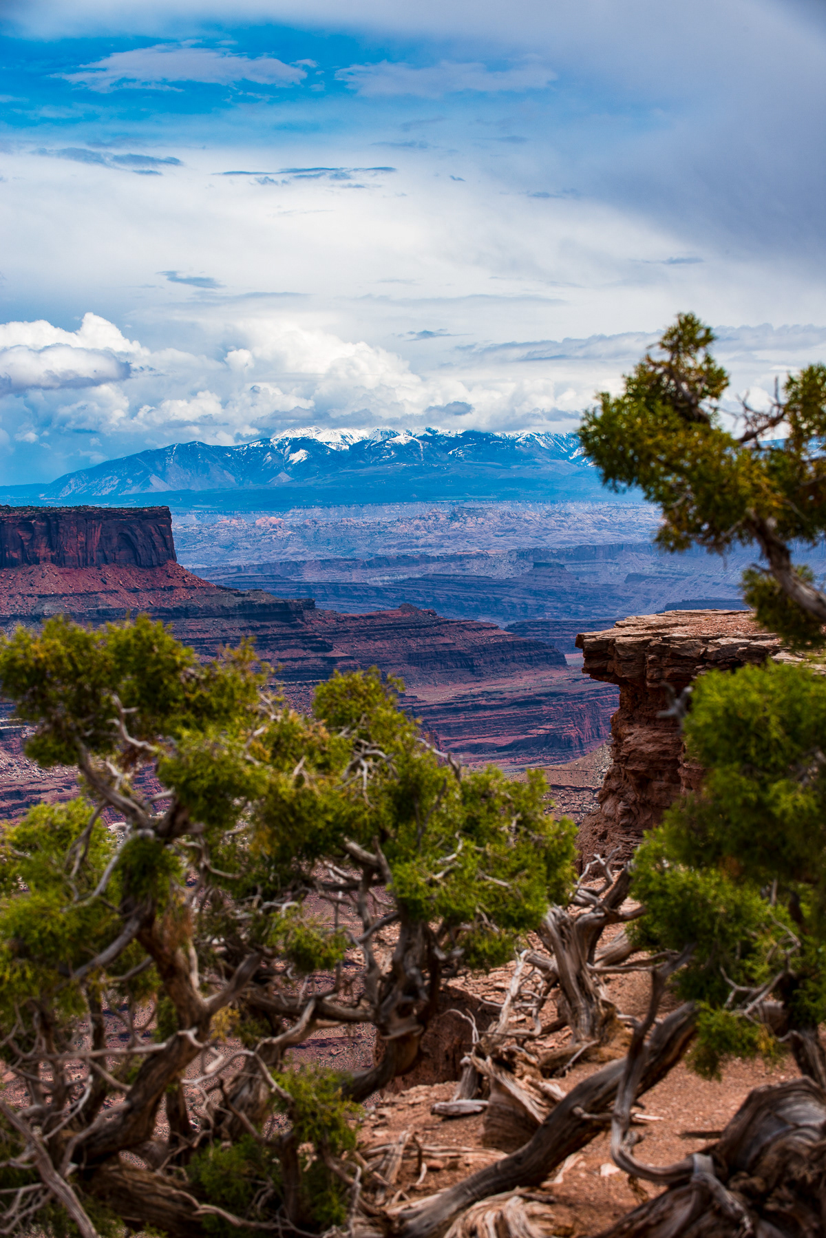 Island in the Sky, Canyonlands National Park
