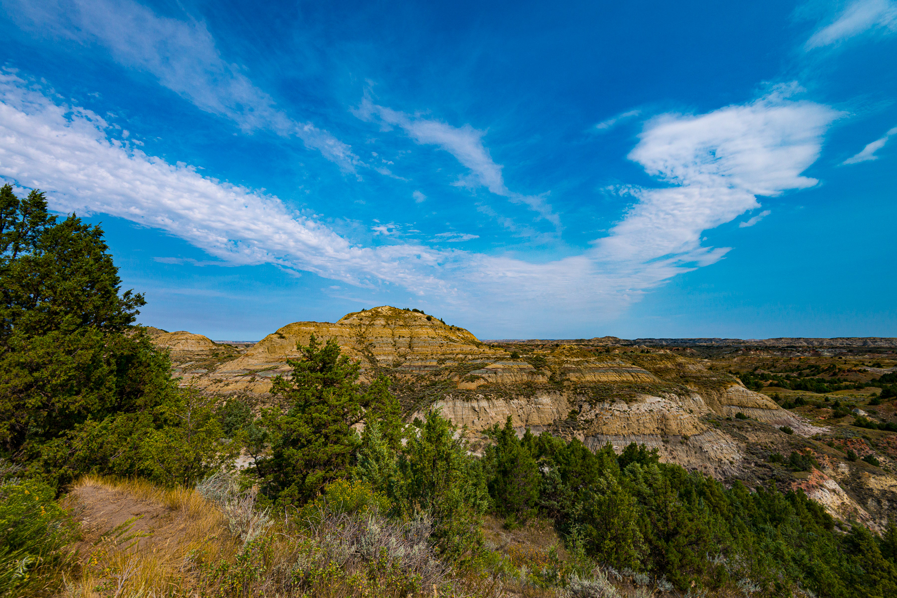 Teddy Roosevelt National Park