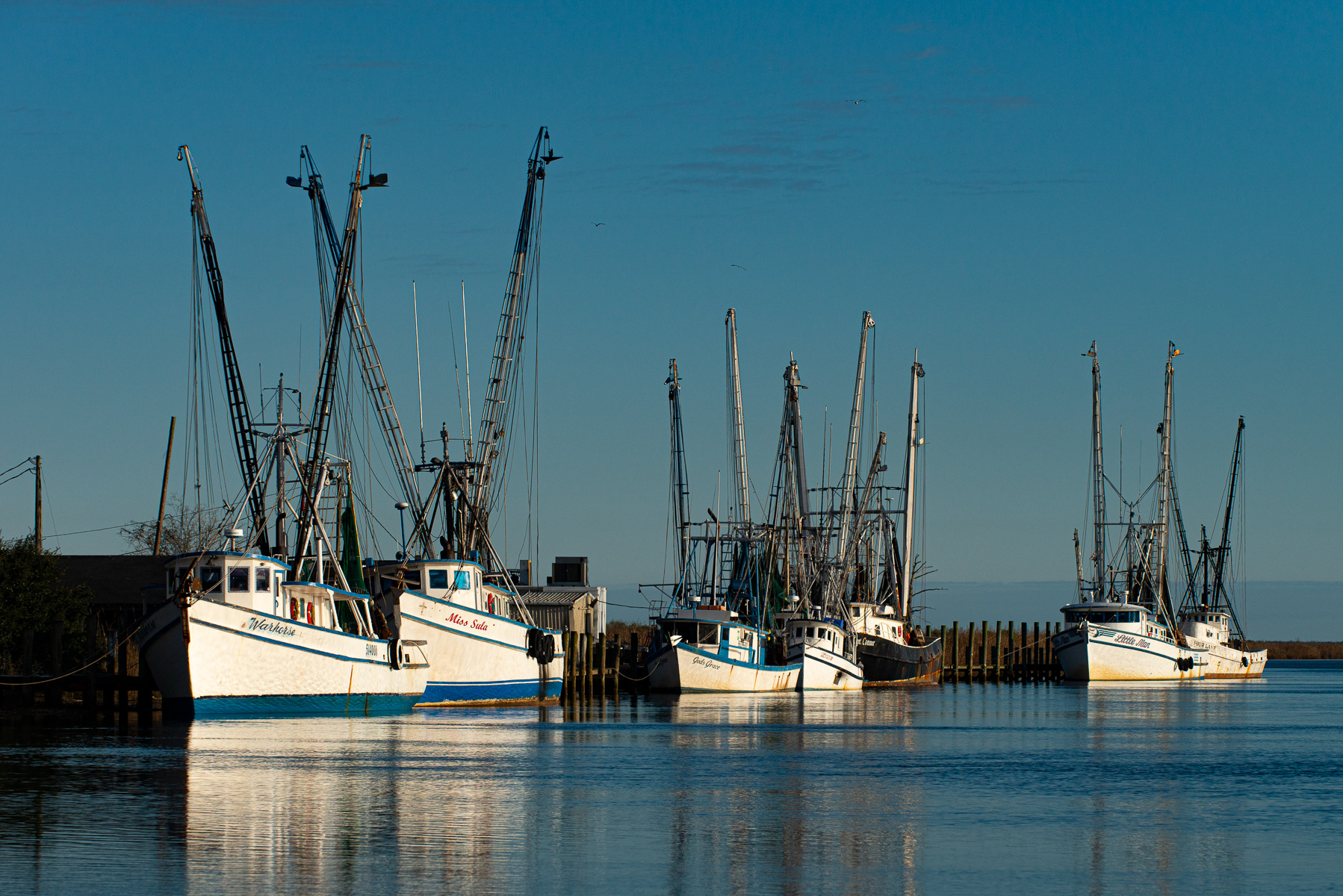 Shrimp Boats, Darien