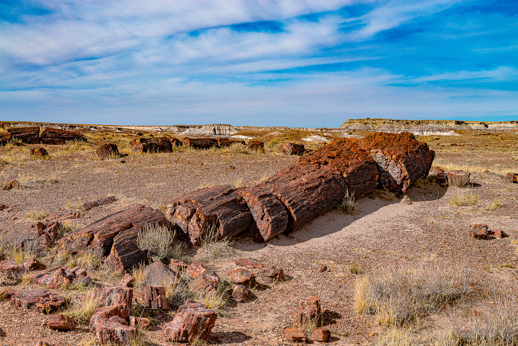 Petrified Forest National Park