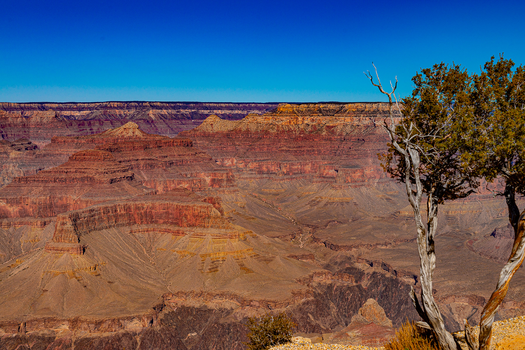 Grand Canyon National Park