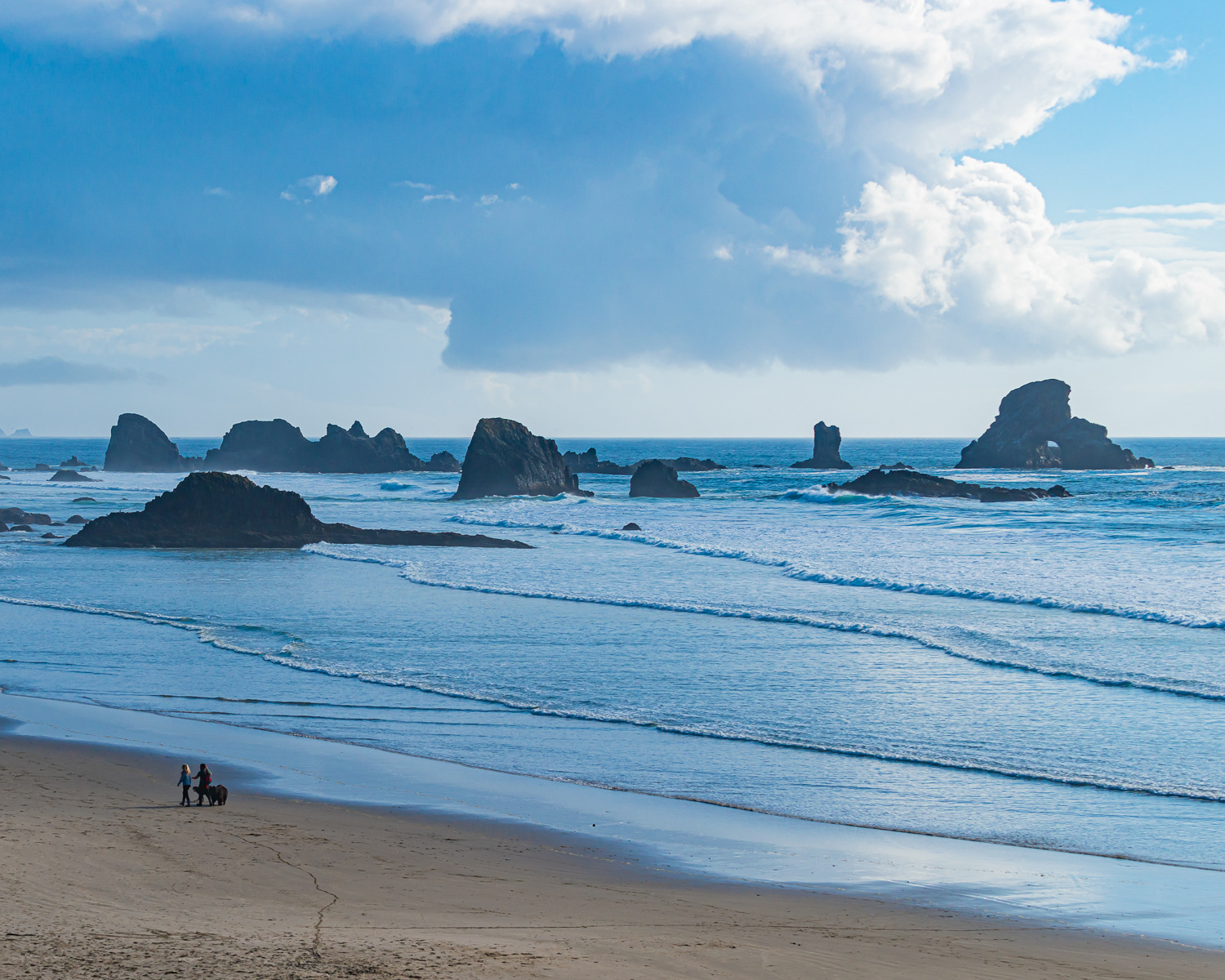Cannon Beach from Ecola State Park