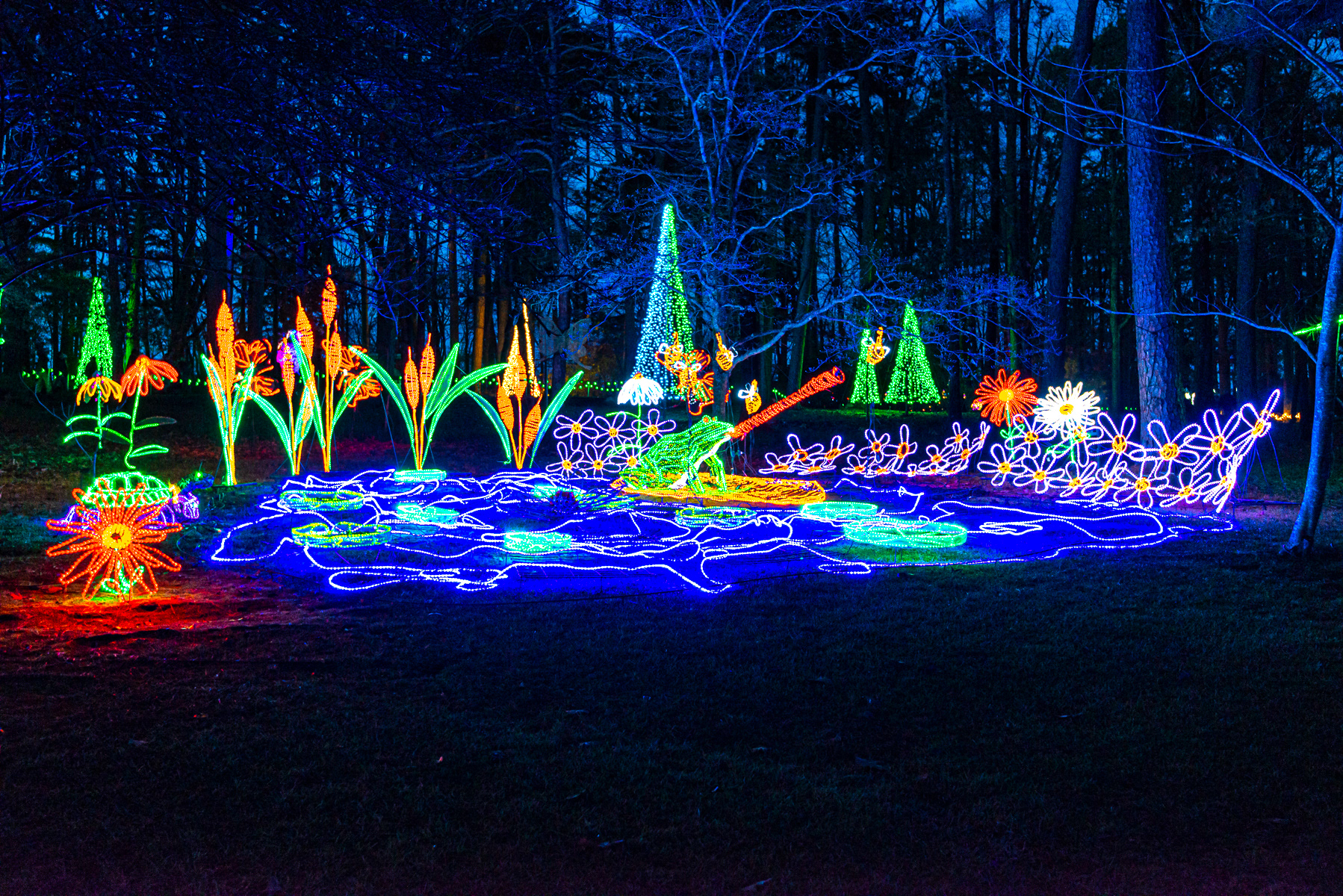 Christmas Lights, Garvan Gardens Hot Springs 