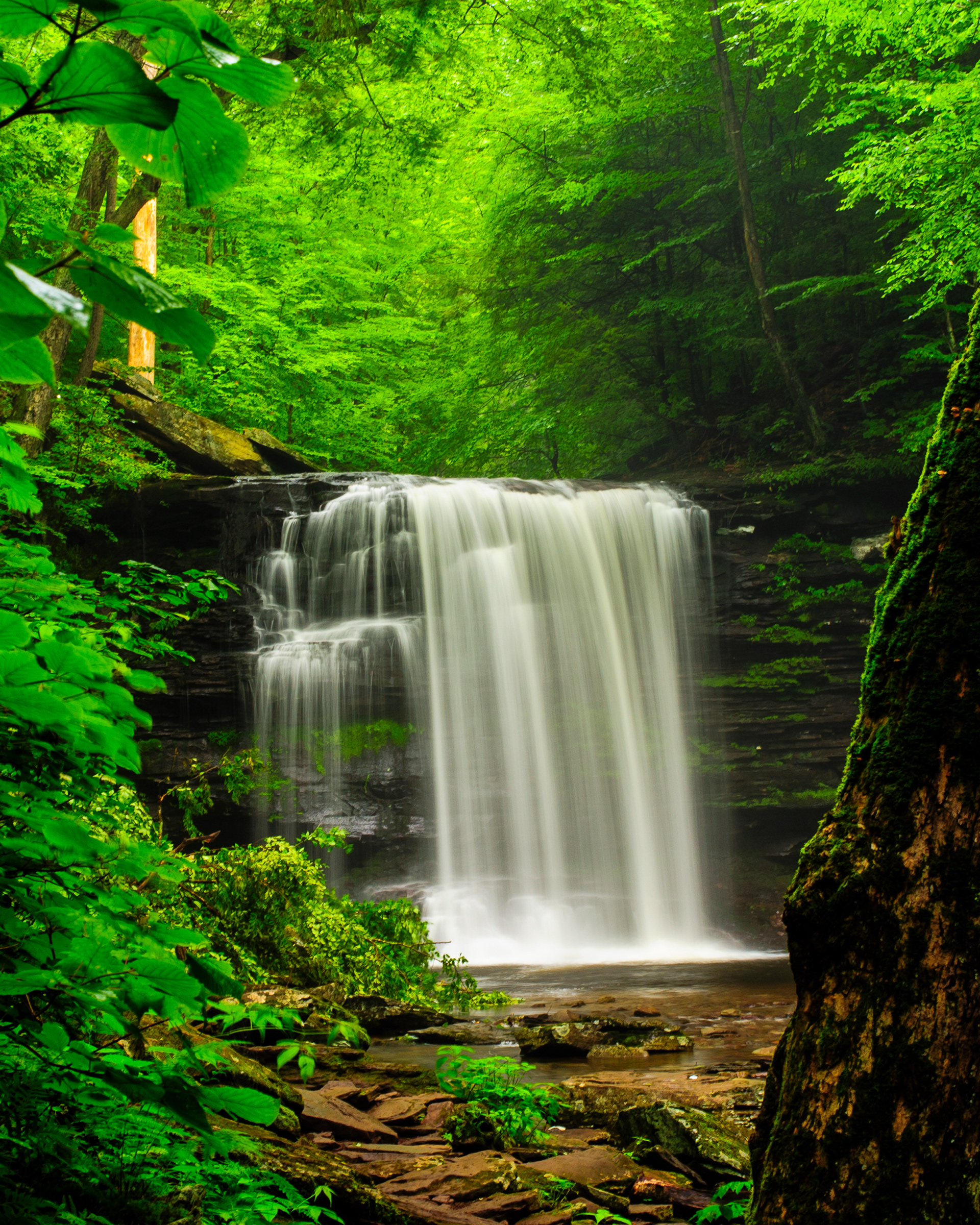 Ricketts Glen State Park, Pennsylvania
