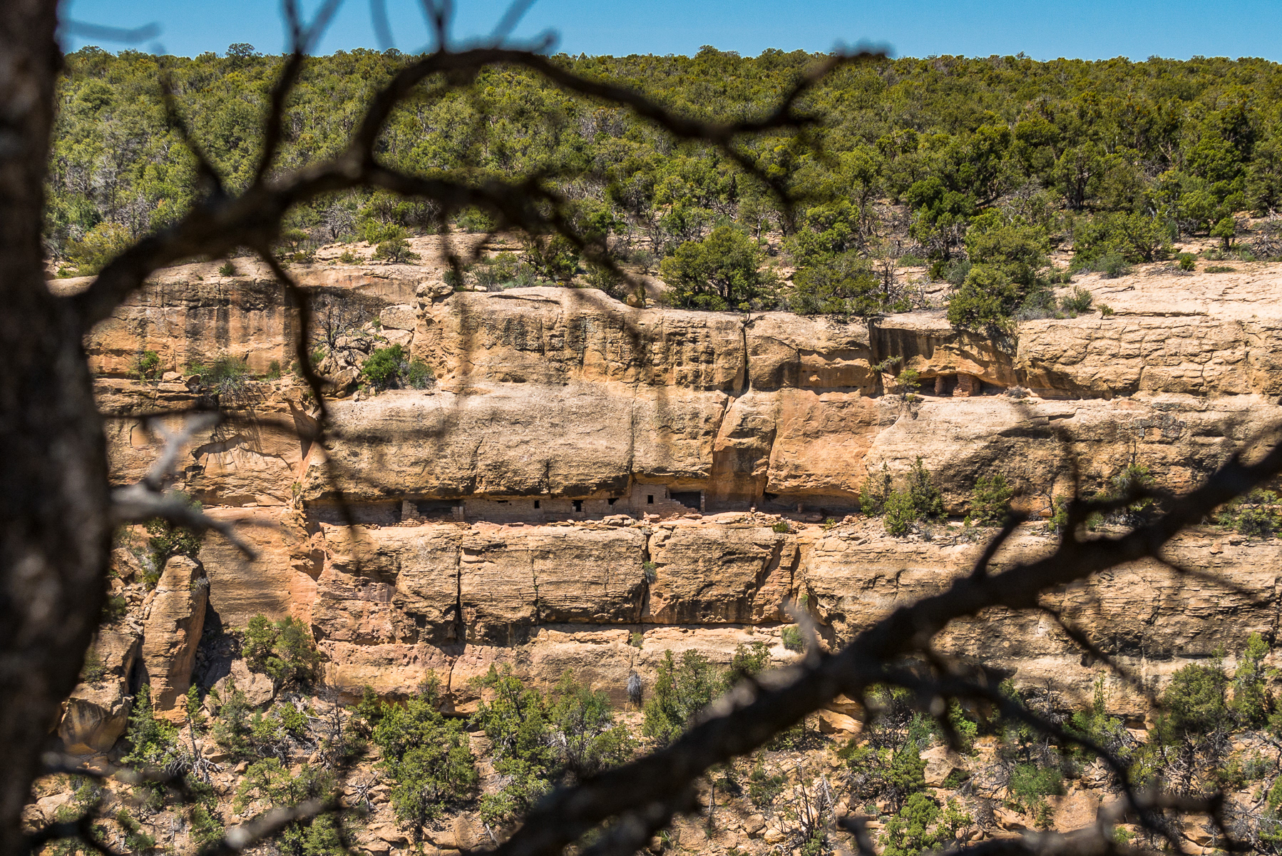 Mesa Verde National Park