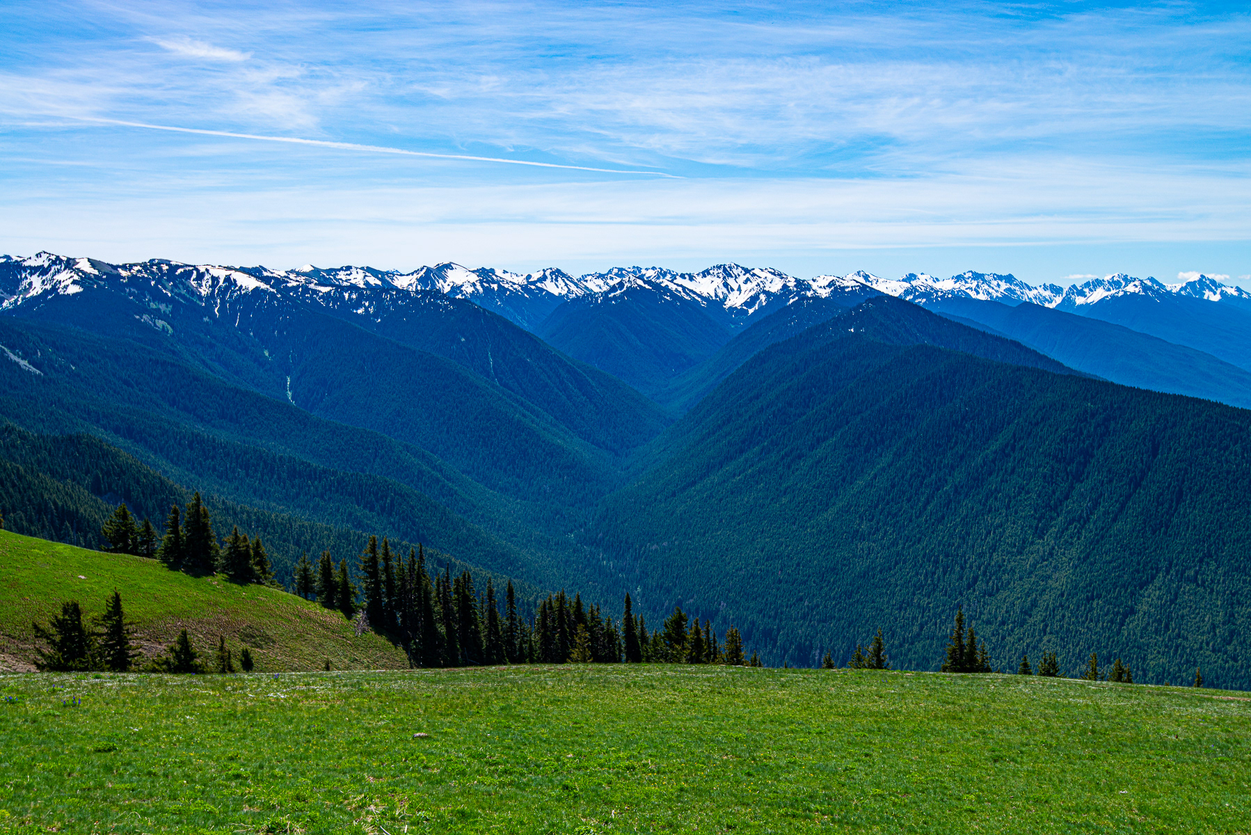 Olympic National Park