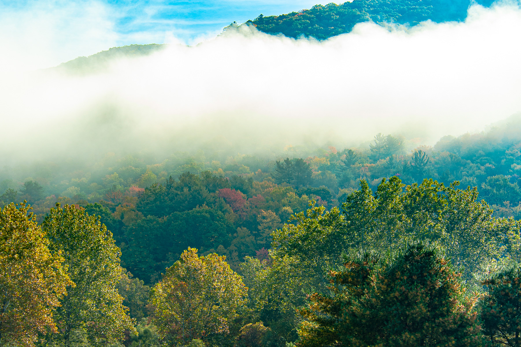 North Central Pennsylvania