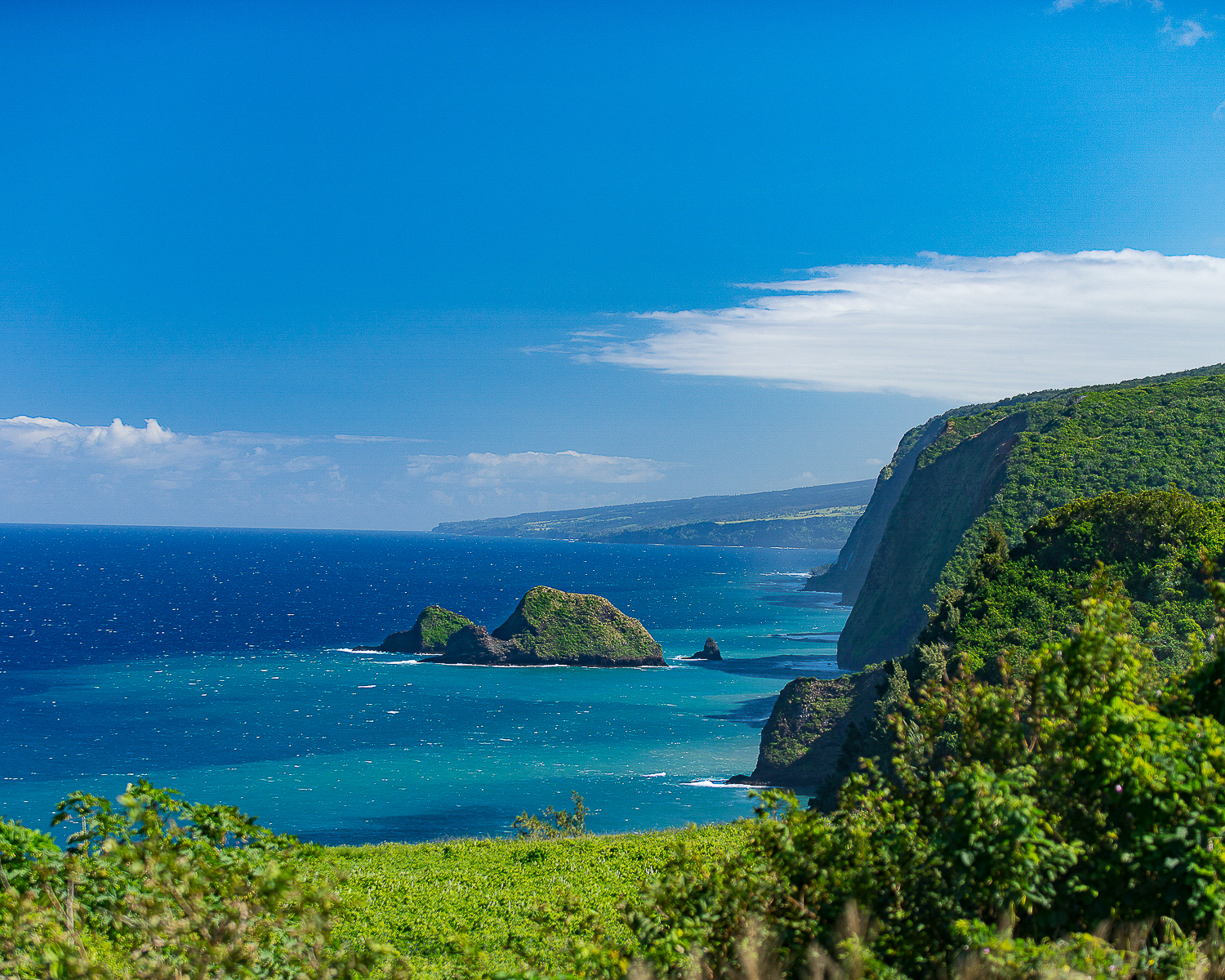 West Coast, Big Island 